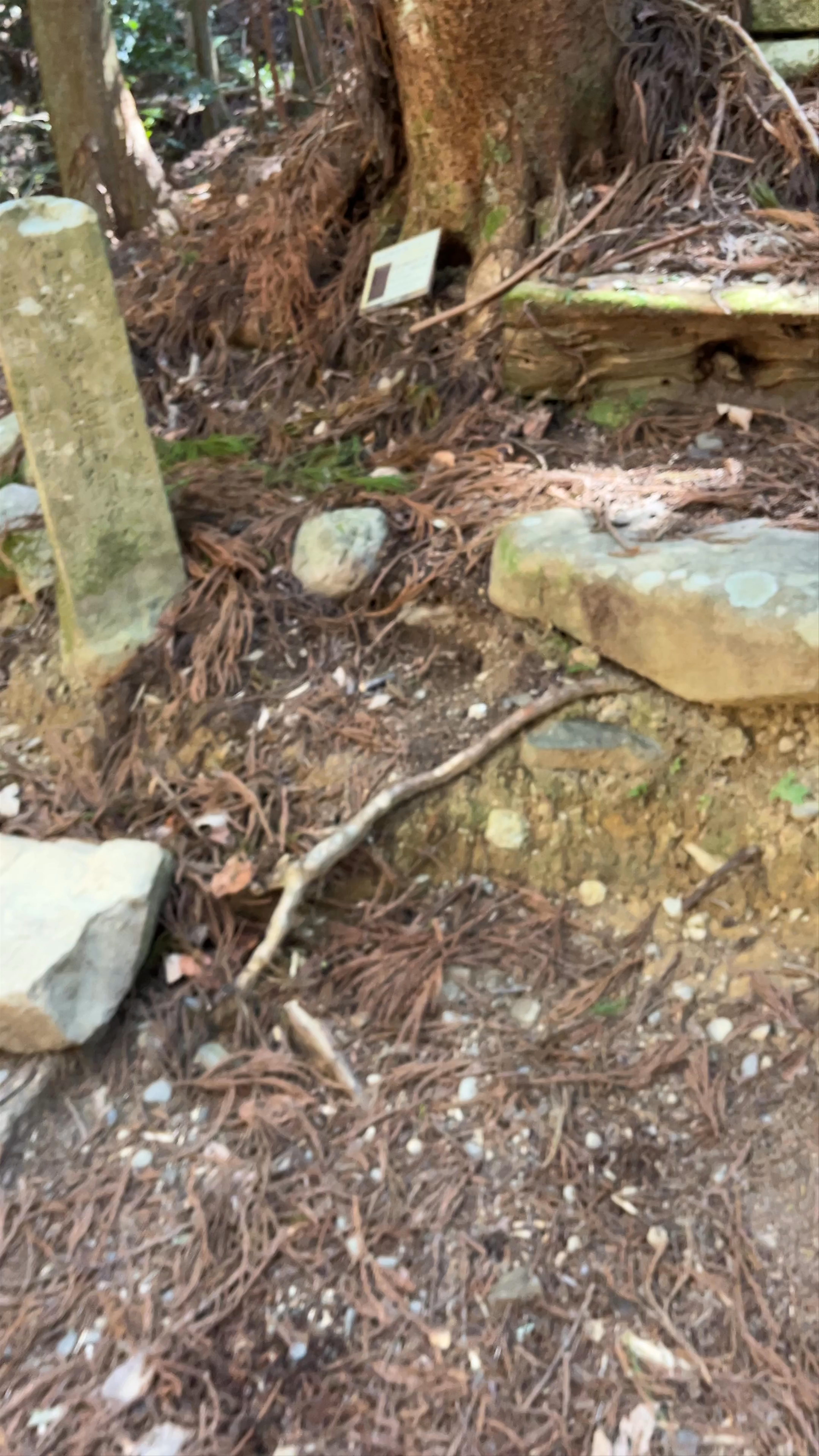 Gyuba-doji Statue牛馬童子像