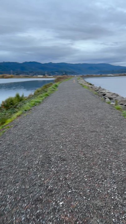 Arcata Marsh Interpretive Center - Someone is happy to see me...sike!! - Museums Near Me - Arcata, California