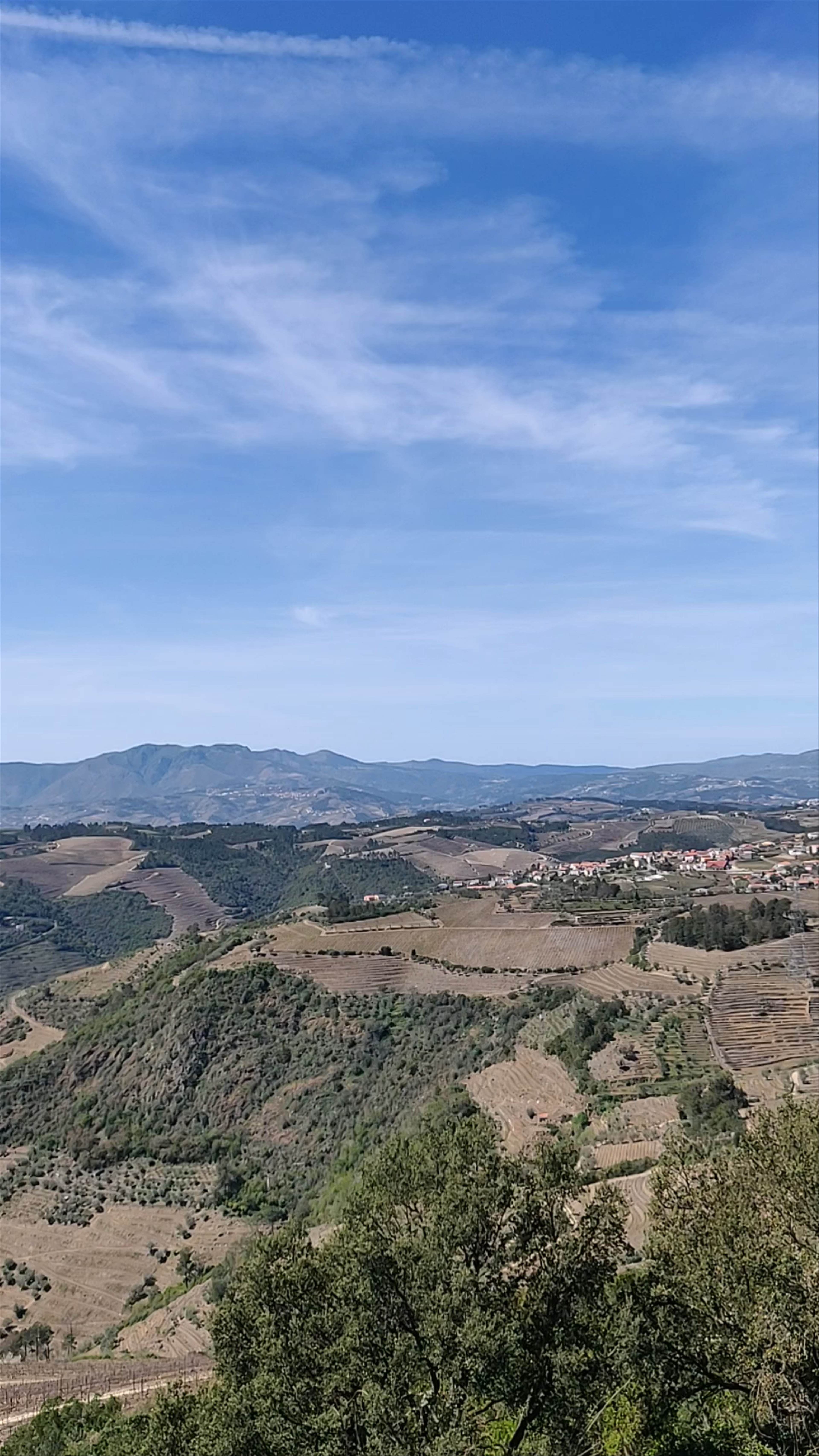 Miradouro de São Leonardo de Galafura