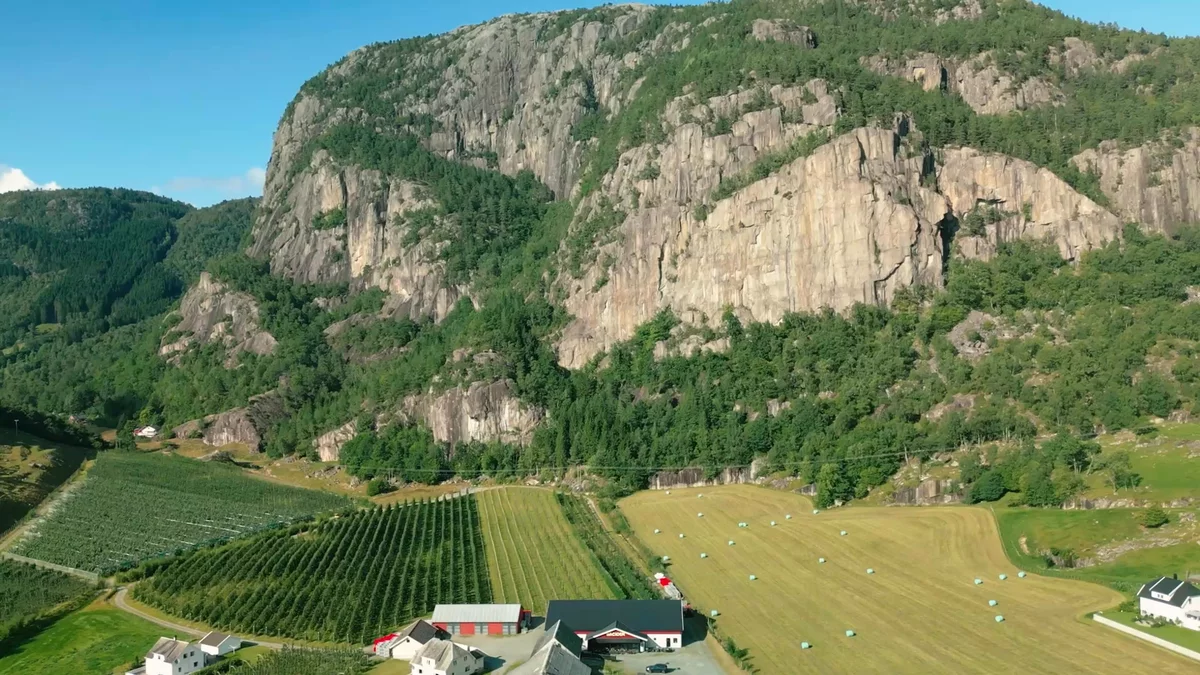 An apple orchard surrounded by mountains.