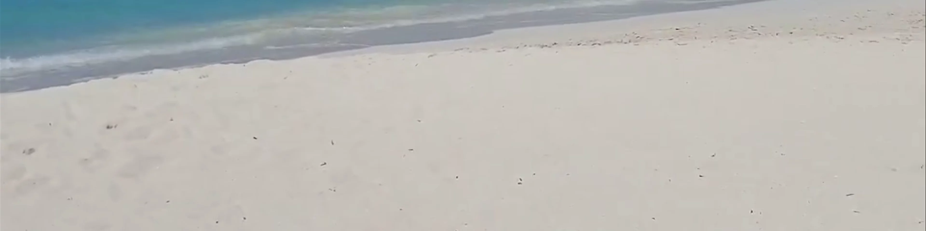 Grace Bay/ Provinciales. Turks & Caicos 