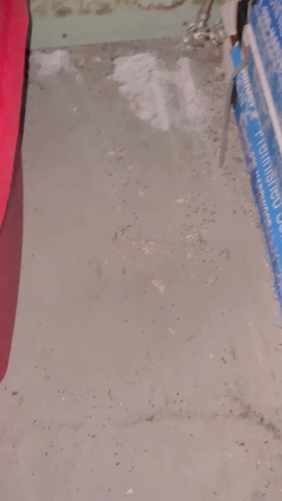 Extra Space Storage - Rodent activity and water intrusion in my unit. Management is not helping me at all. They even raised my storage rates. - Self Storage Near Me - Oakland, California