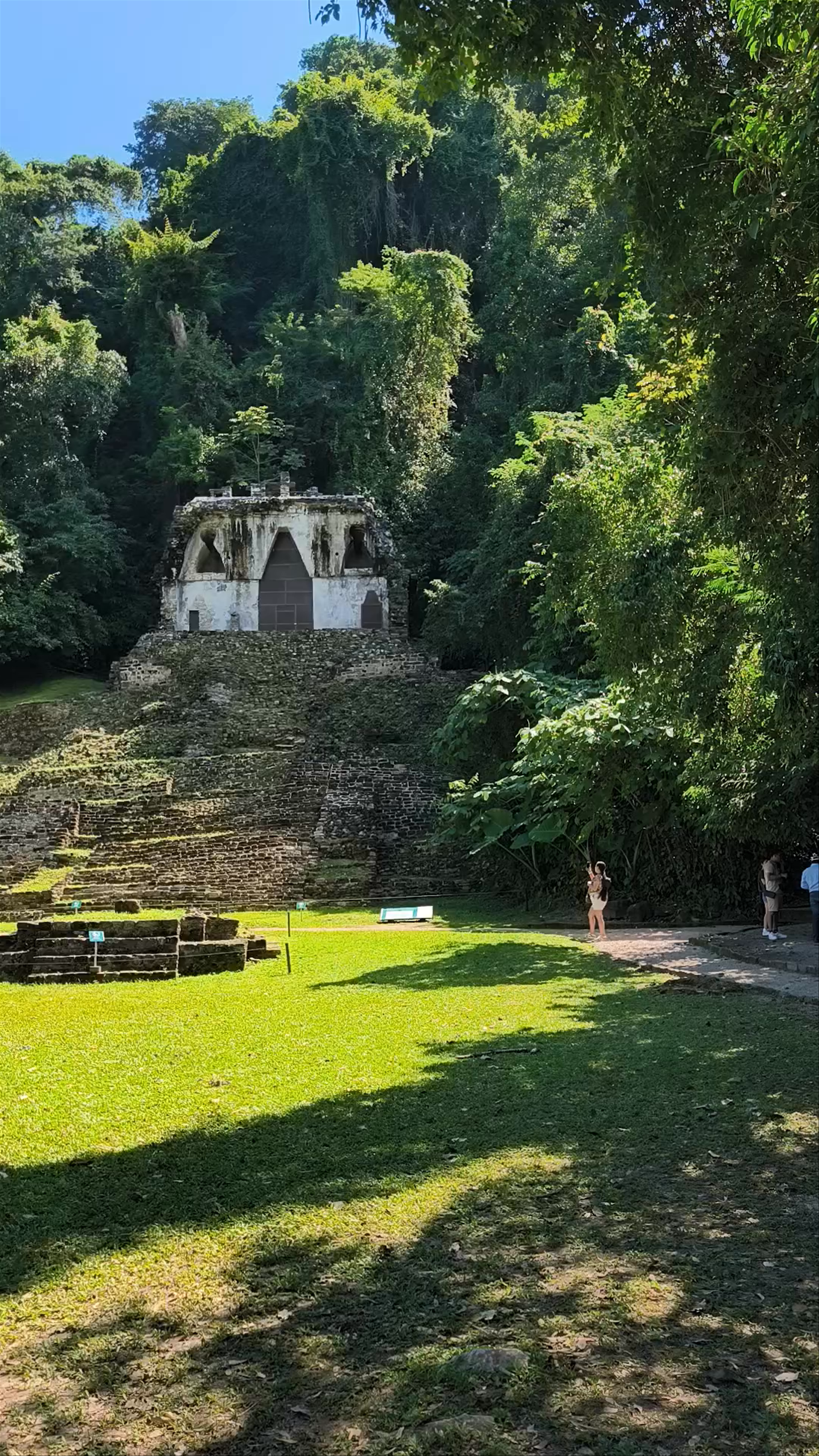 Templo XIV