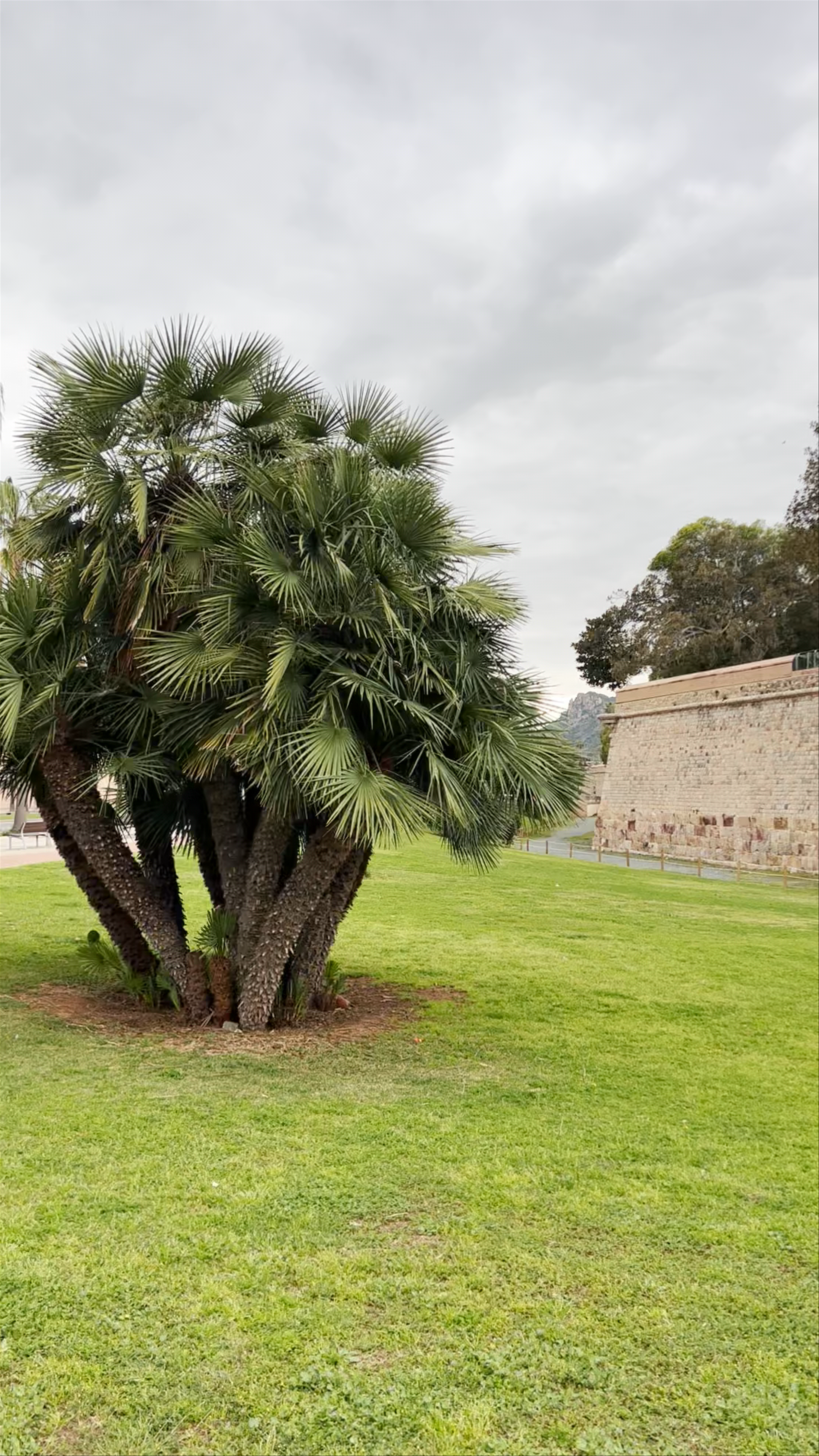 Muralla Carlos III