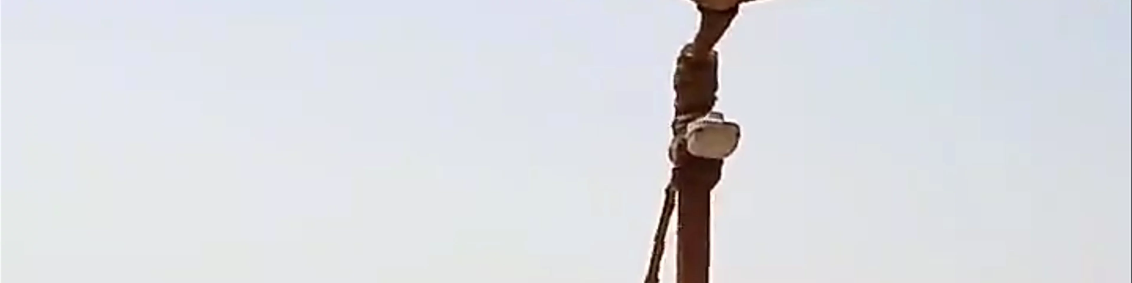 Al Maha