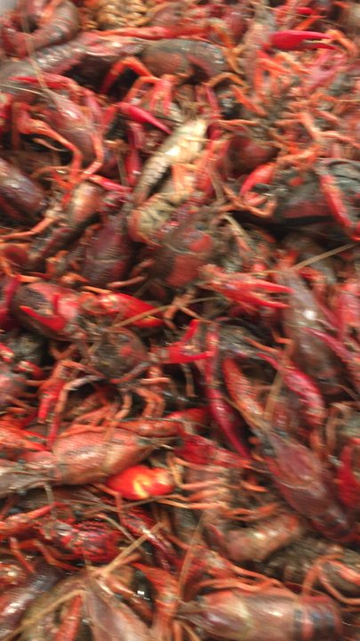 H-E-B - Crawfish seasson - Drugstores Near Me - Lakeway, Texas