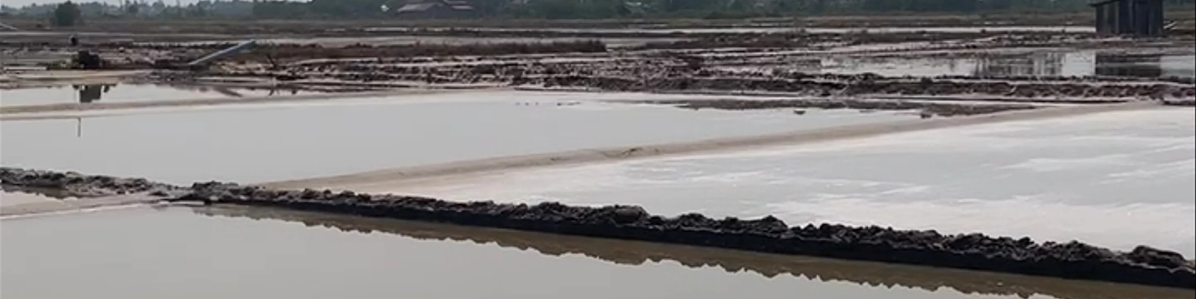 Salt fields