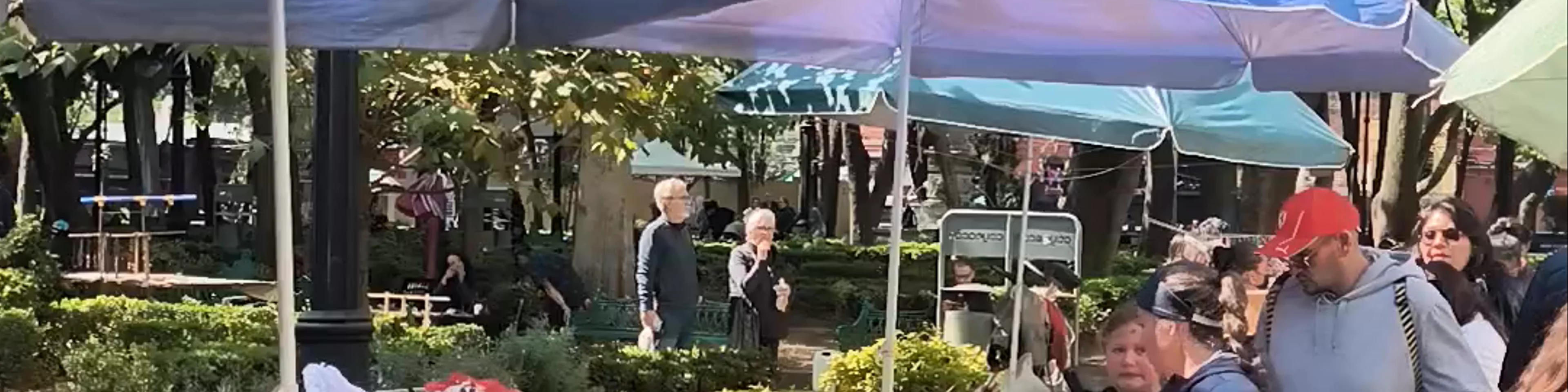 Plaza Coyoacán