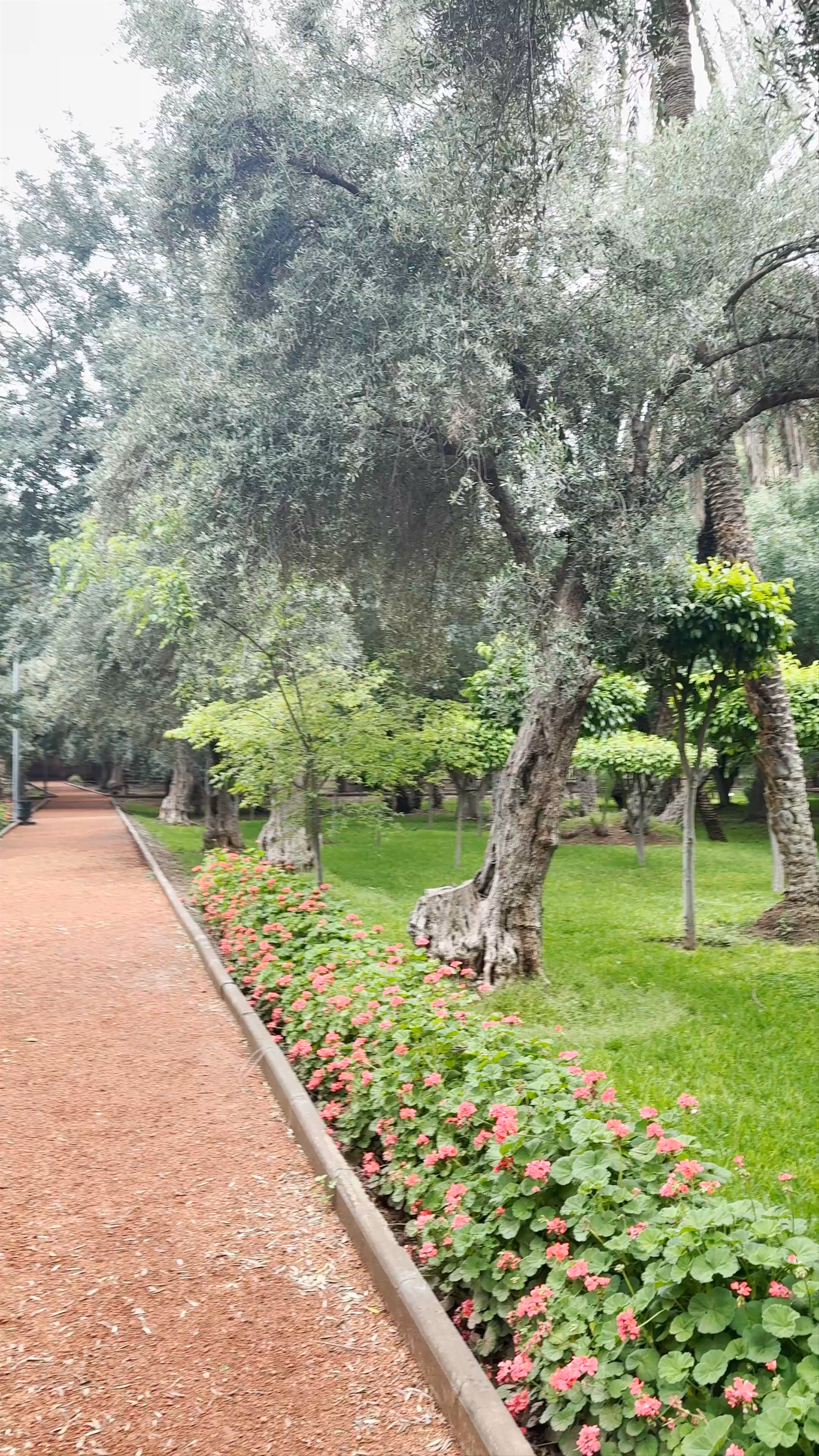 عرصة مولاي عبد السلام، Marrakesh