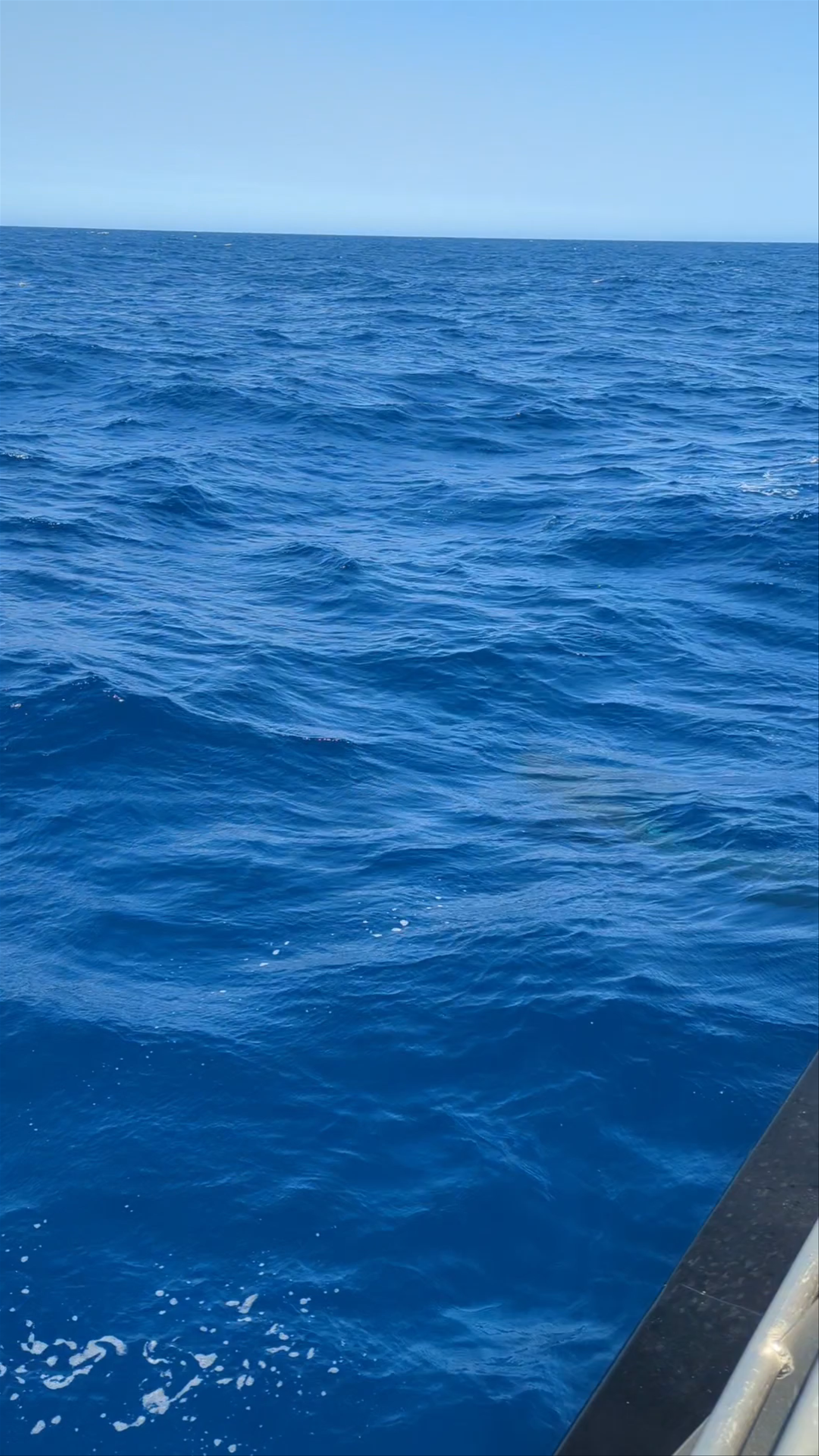 Naturaliste Charters - The Original Bremer Bay Orca Whale Watching Company