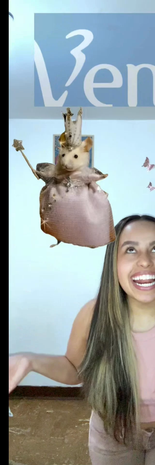 Contenido del creador