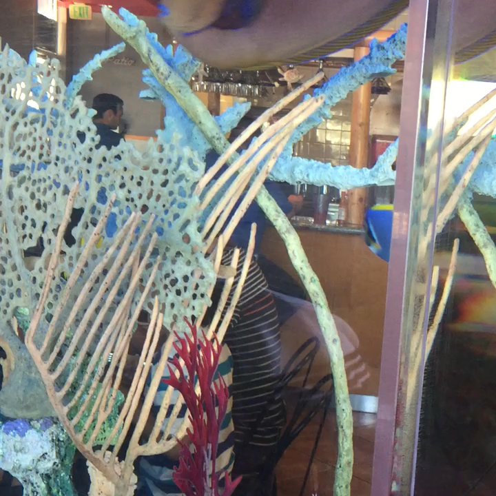 Hector's Mariscos - Seafood Near Me - Chula Vista, California