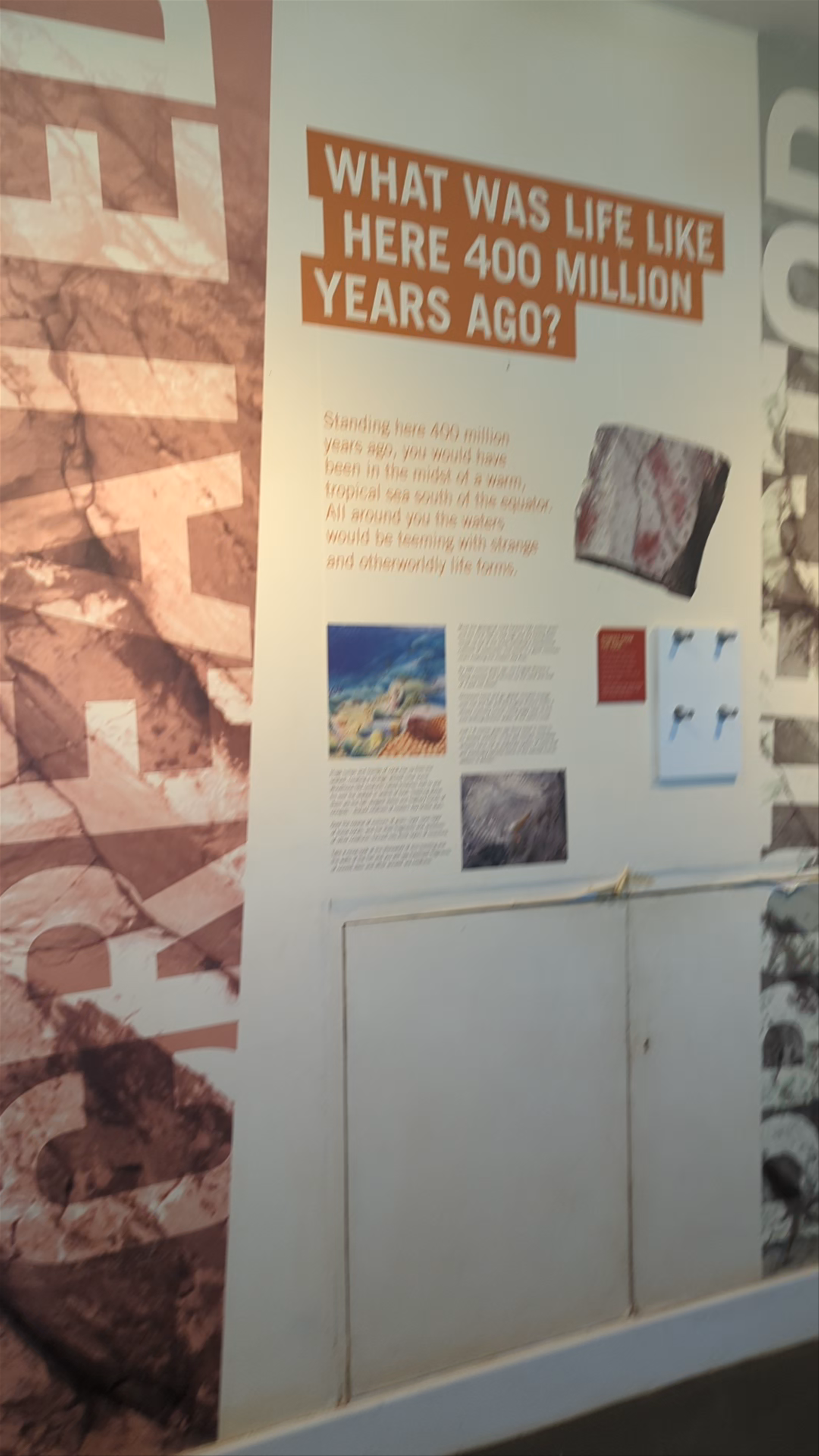 Berry Head National Nature Reserve