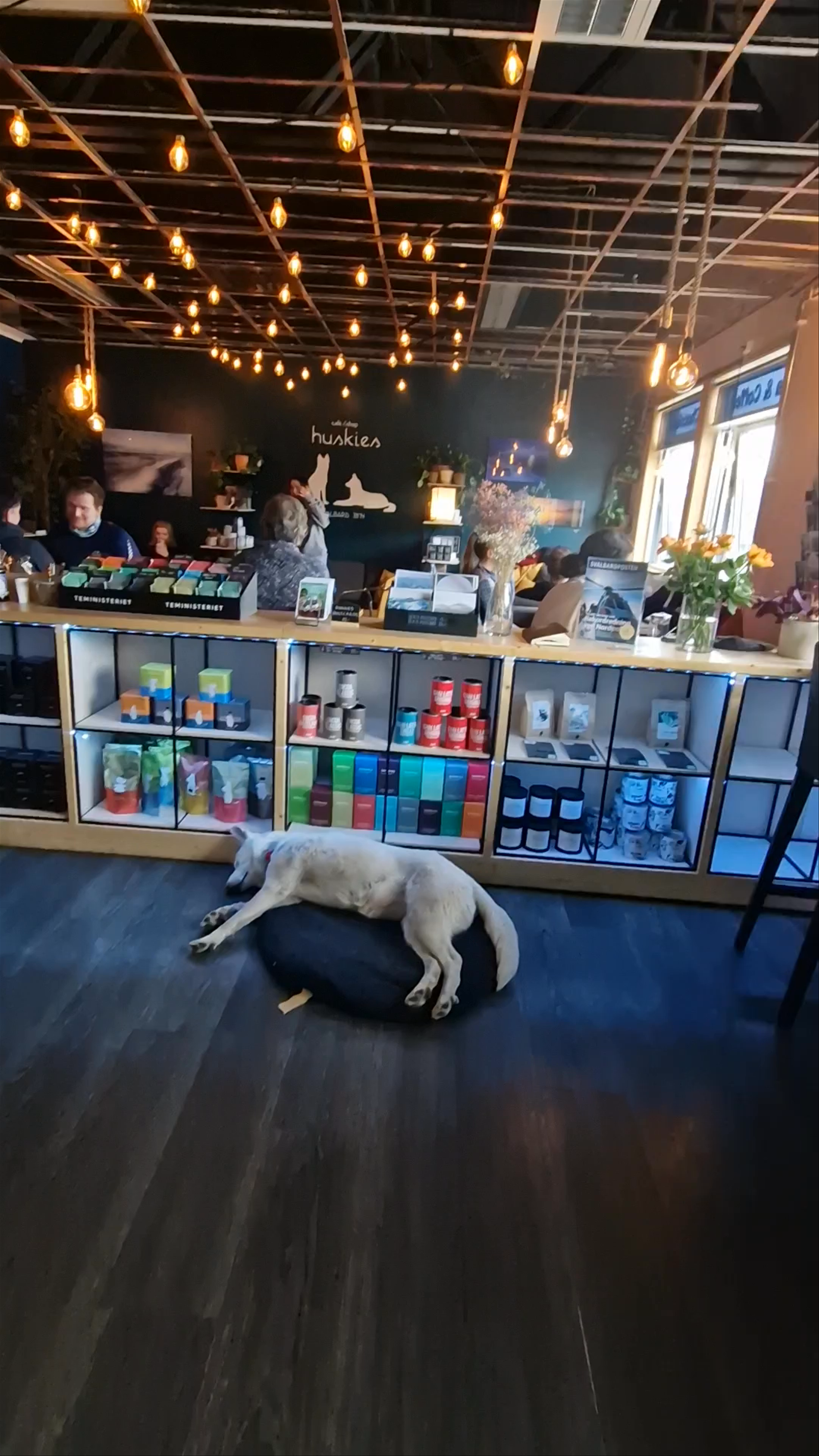 Café Huskies