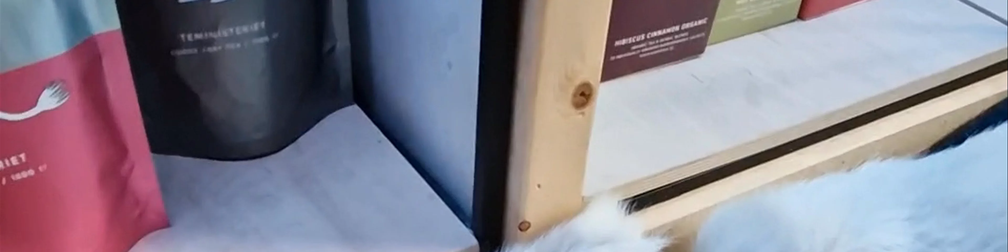 Café Huskies