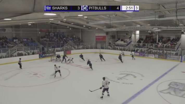 Harry Thomas: Unforgettable Highlights with pitbulls