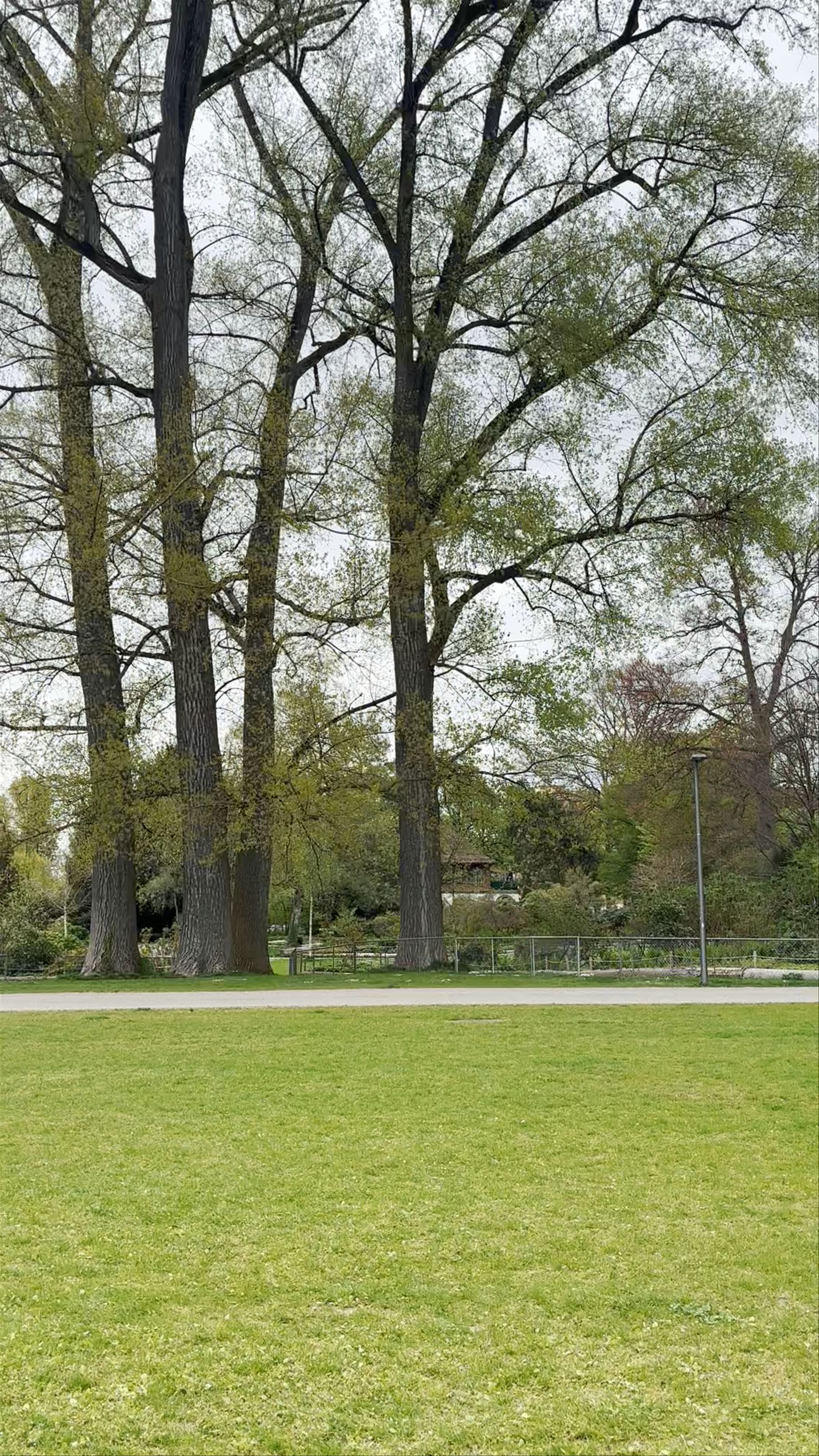 Heureka von Jean Tinguely, 1963 - Mechanical Art Sculpture in Zürich Park
