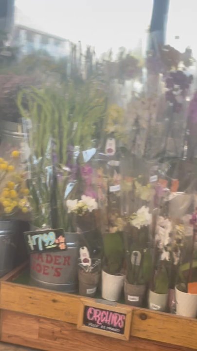 Trader Joe's - Grocery Near Me - Nichols Hills, Oklahoma