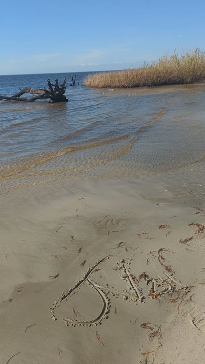 Fontainebleau State Park - Parks Near Me - Mandeville, Louisiana