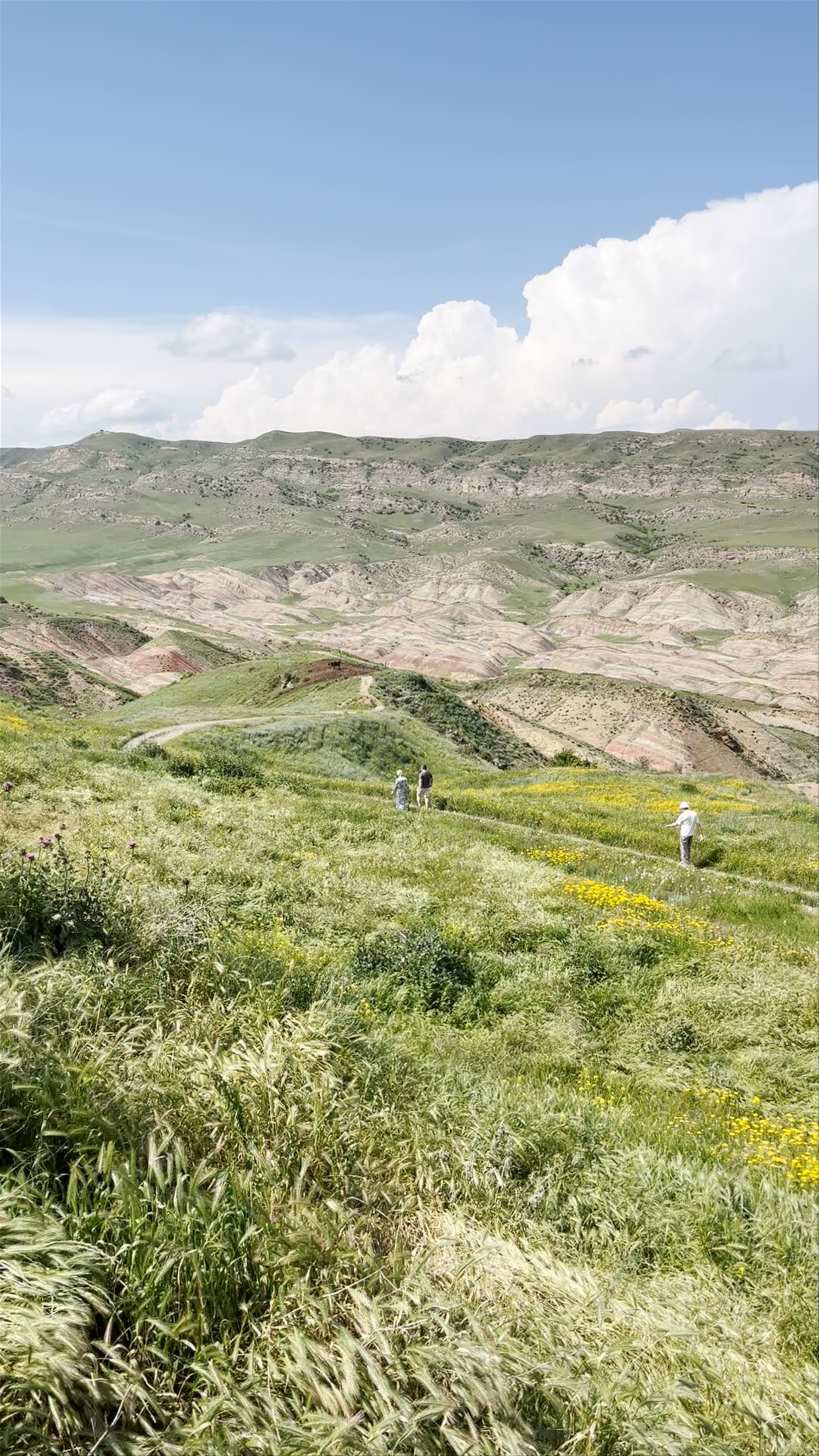 Gareja Colorful Dunes Viewpoint: A Hidden Natural Canvas in Udabno, Georgia