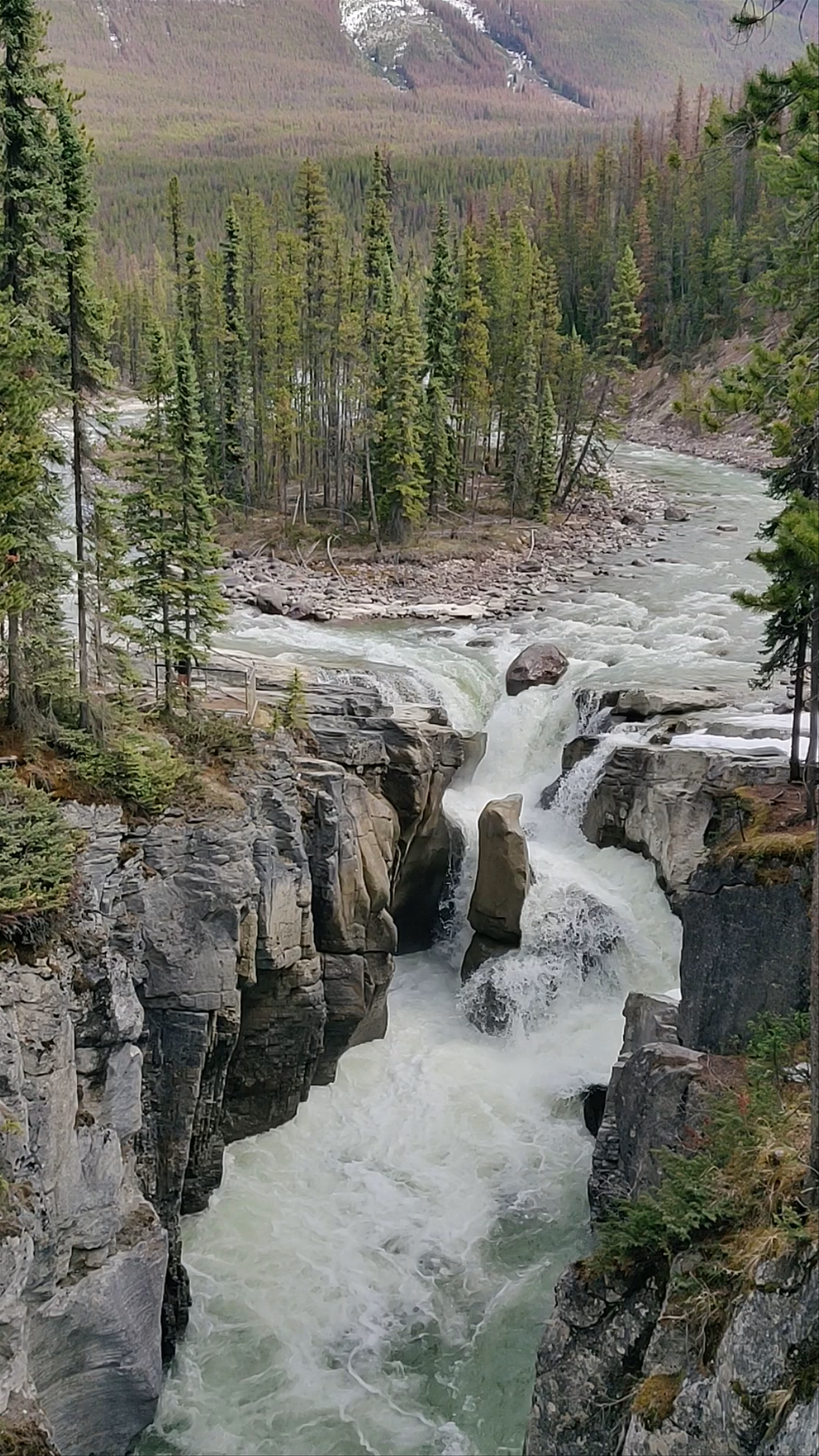 Sunwapta Falls