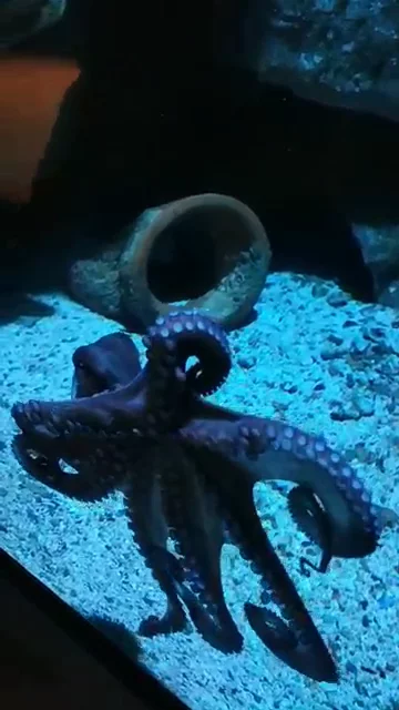 Acquario Civico e Stazione Idrobiologica di Milano