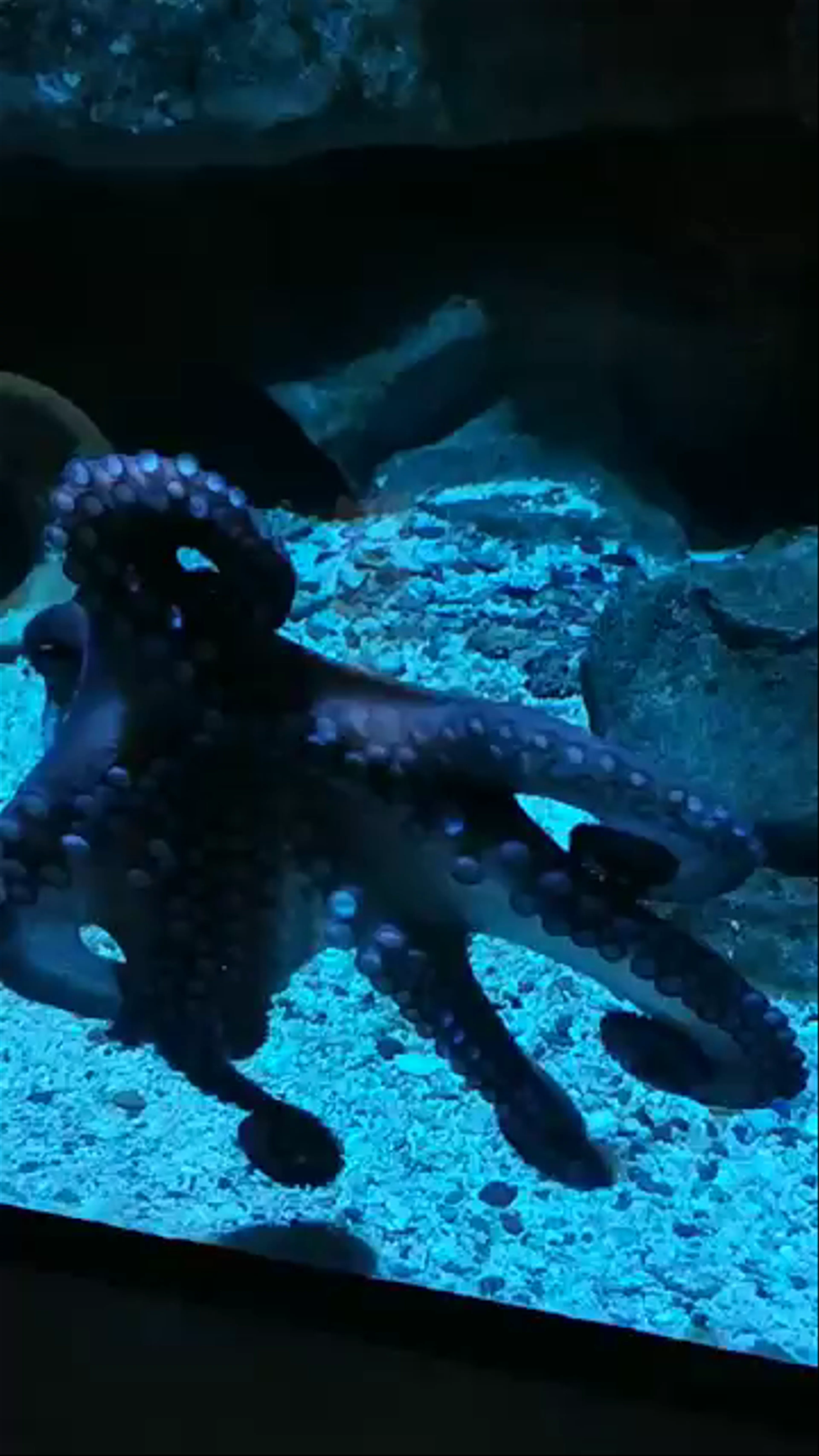 Acquario Civico e Stazione Idrobiologica di Milano
