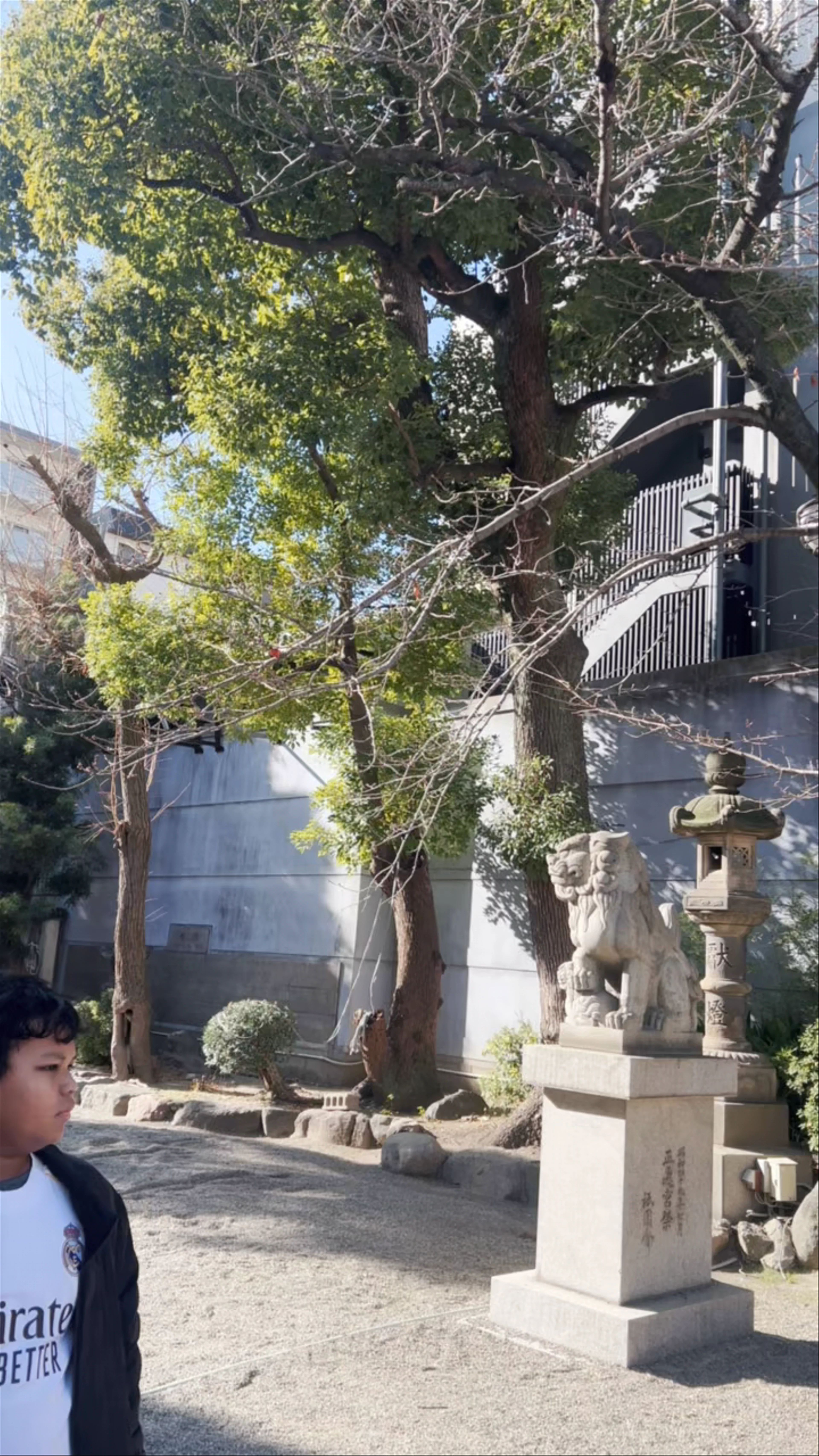 Namba Yasaka Jinja