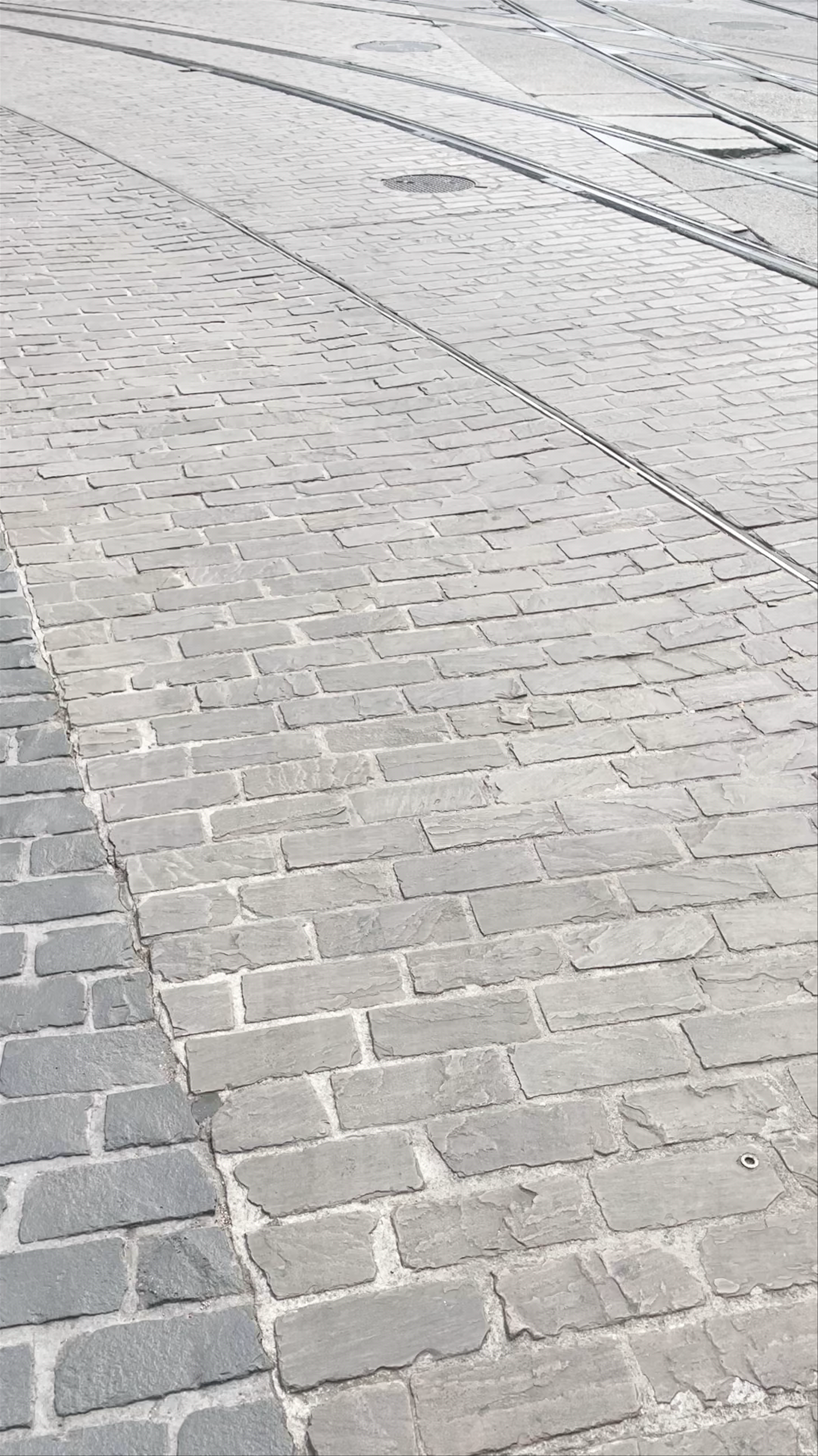 Saint Bavo's Cathedral