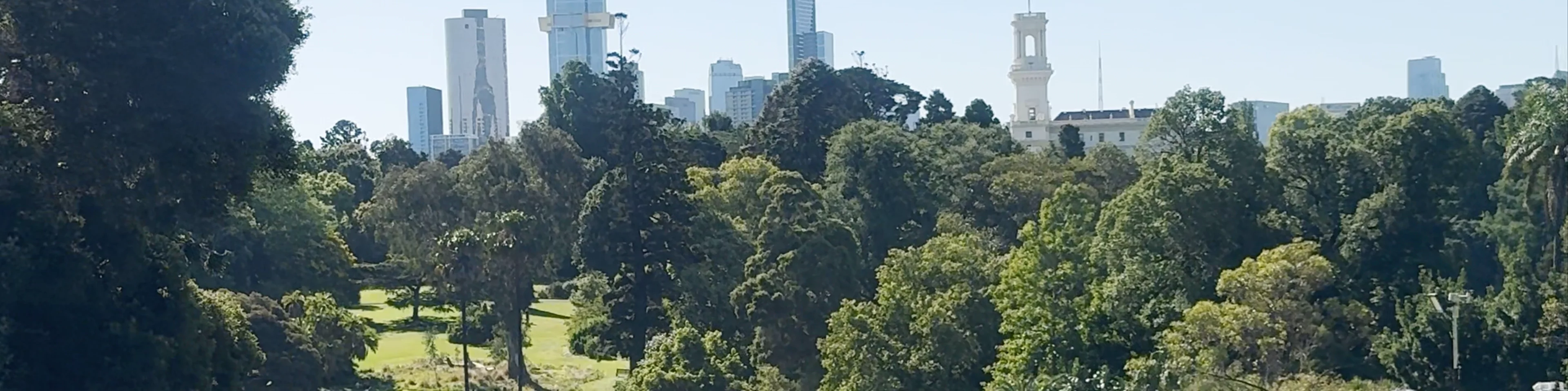 Moonlight Cinema Melbourne
