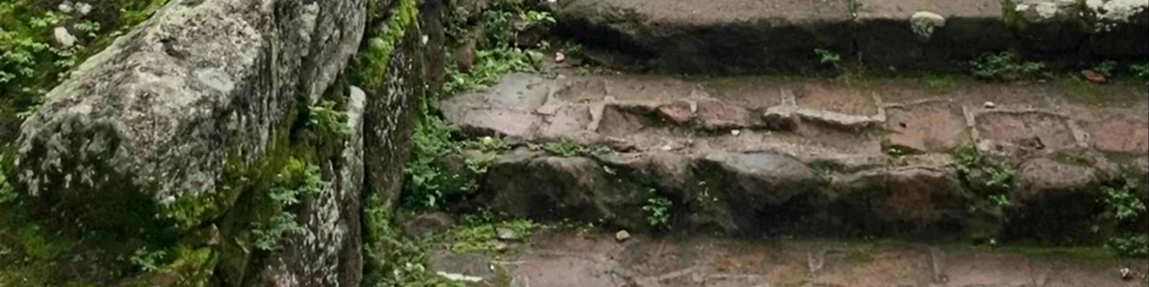 Panamá Viejo