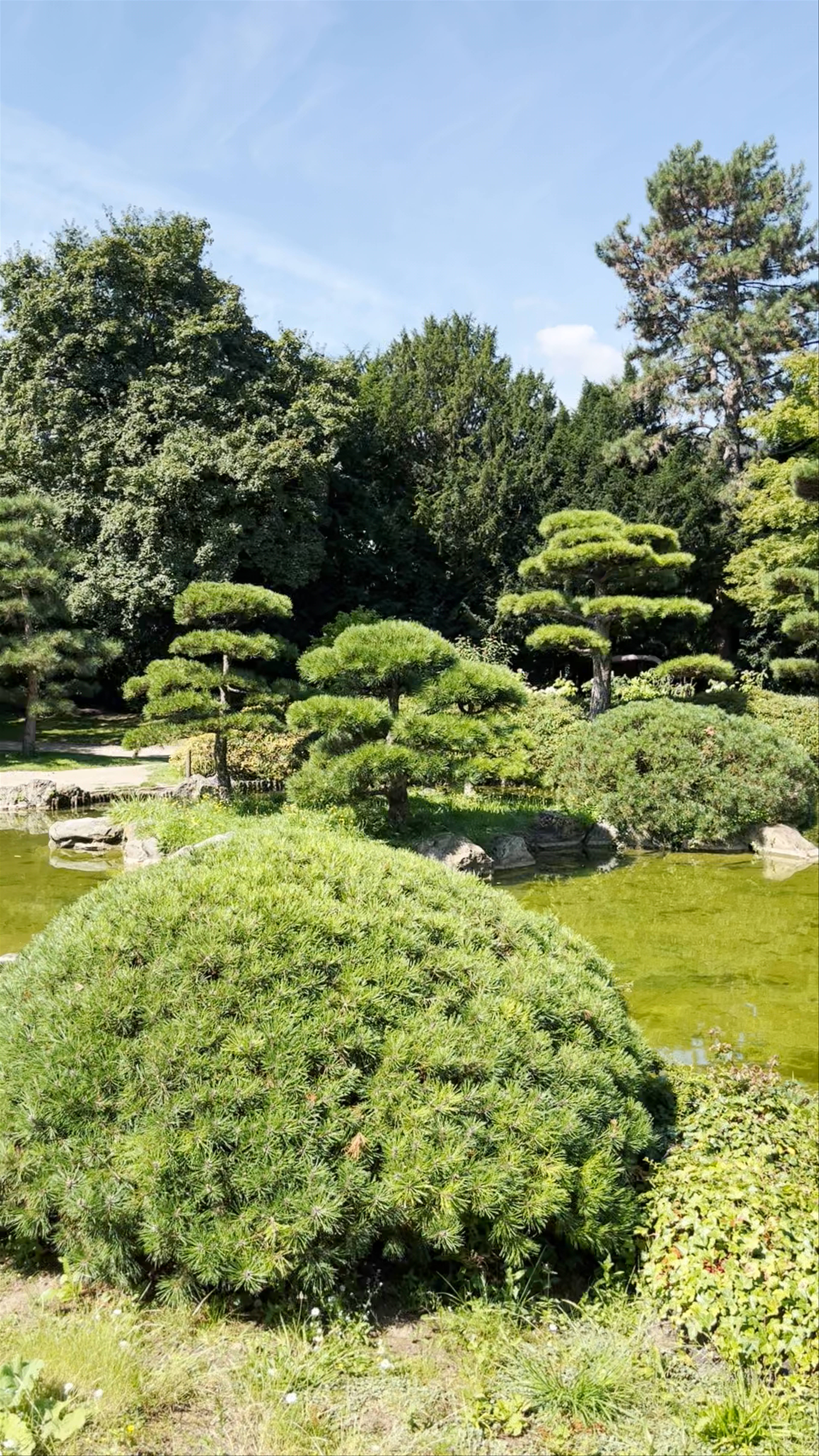 Japanese Garden