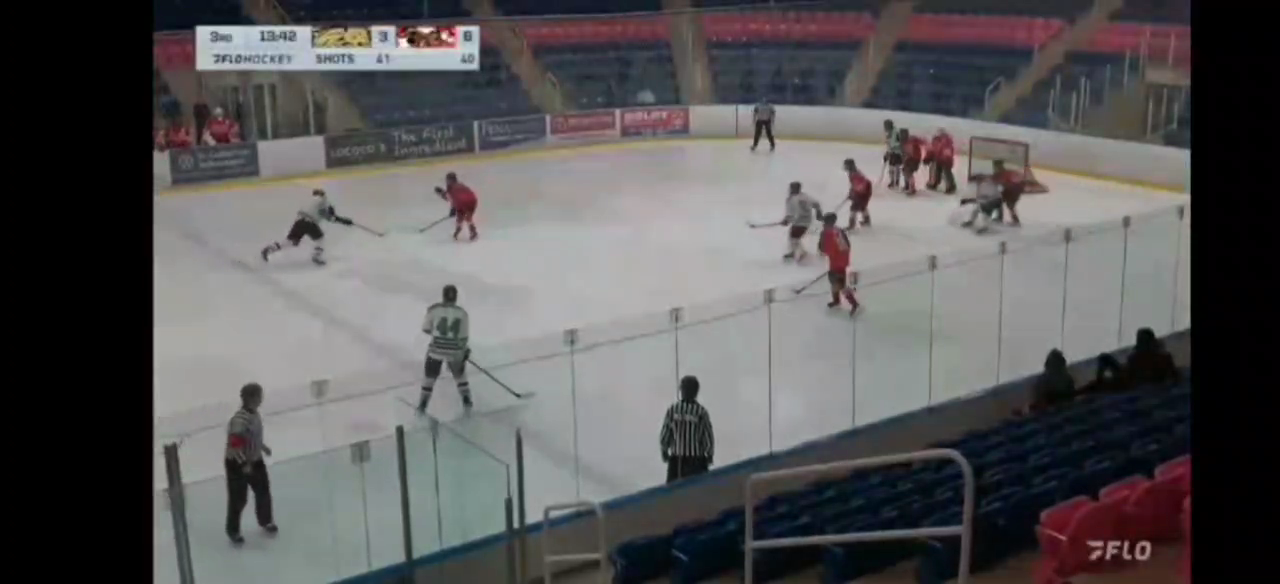 Vsevolod Bashutin: Elite Highlights of a Cobourg Cougar Star