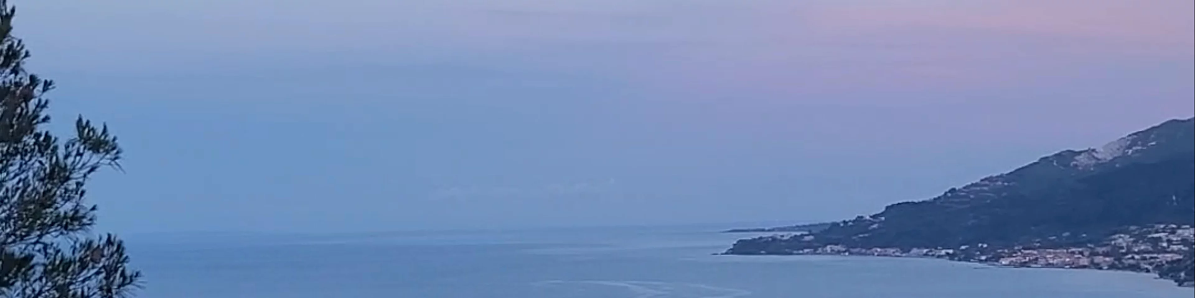 Zante
