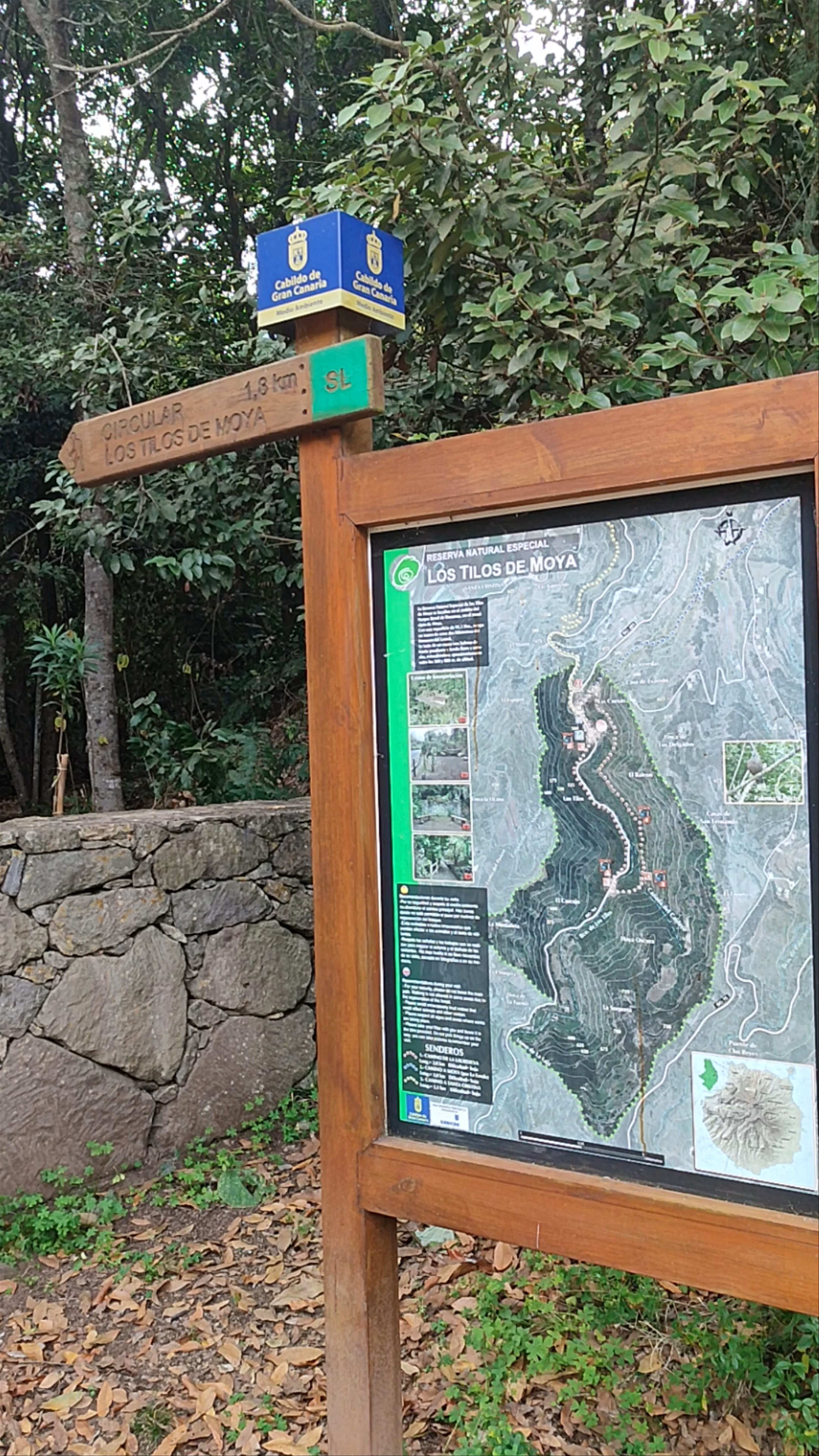 Reserva Natural Especial de los Tilos