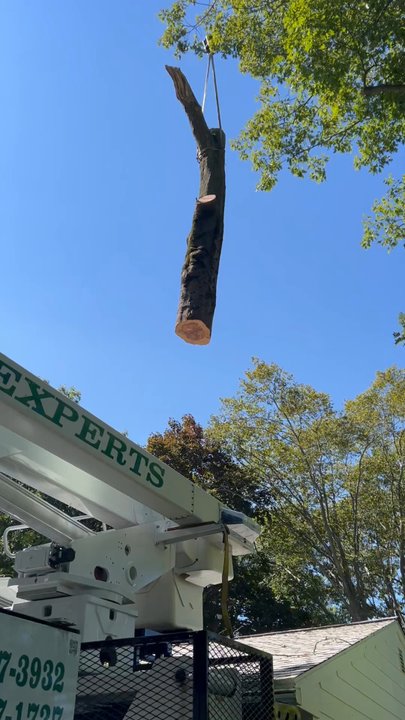 Eastern Tree Experts - Eastern Tree Experts have the equipment, manpower and experience to professionally, safely and affordably get your tree projects done. - Tree Services Near Me - Guilford, Connecticut