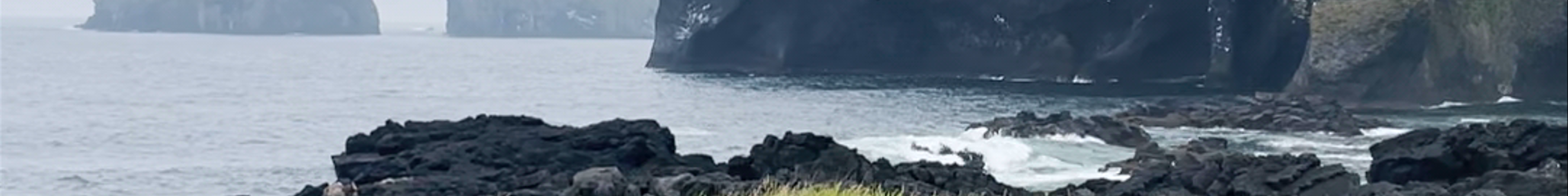 Tours & experiences in Vestmannaeyjar