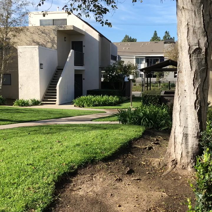 Mesa Pines - Courtyard at Mesa Pines - Apartments Near Me - Costa Mesa, California