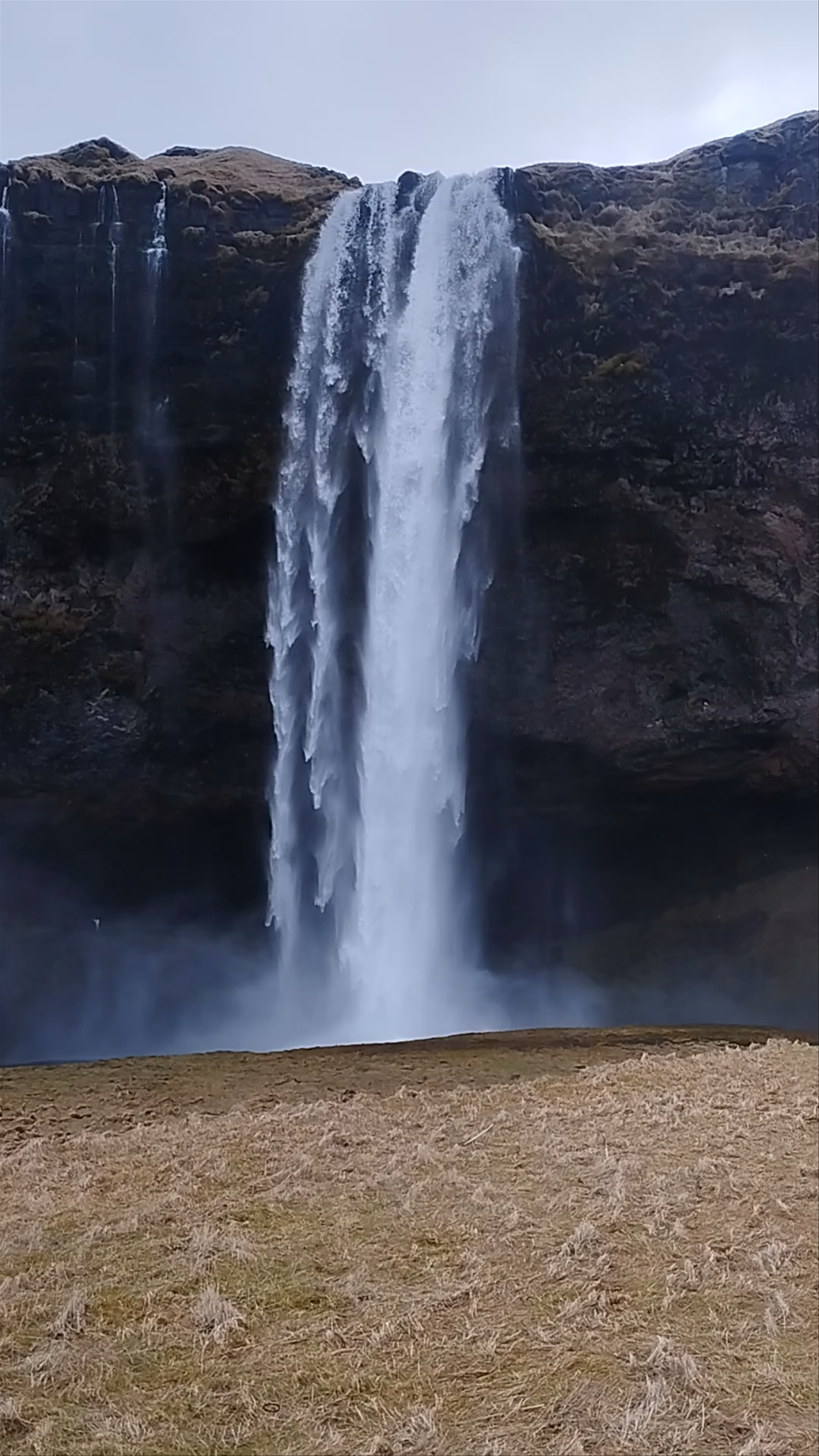 Seljalandsfoss