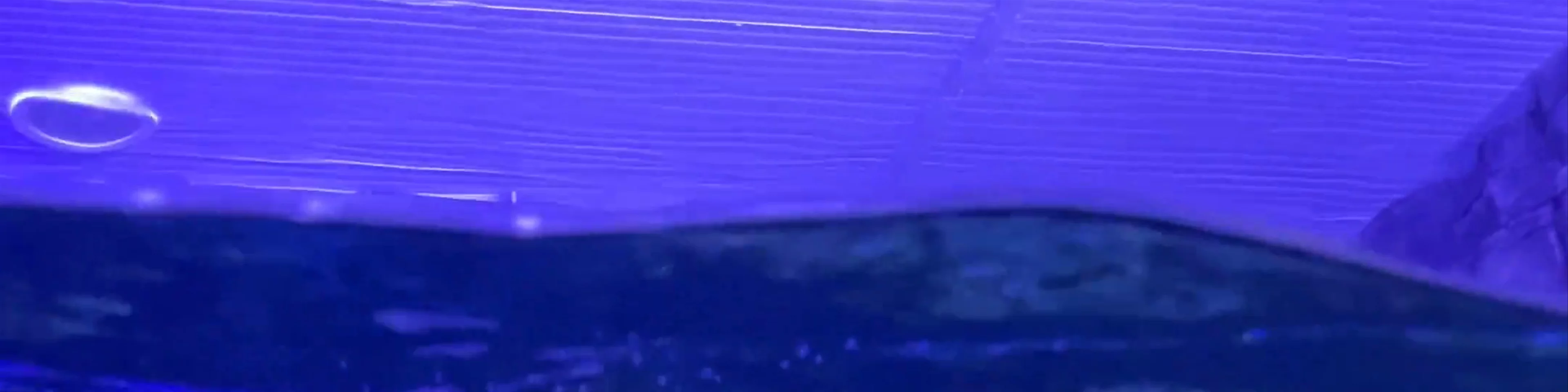 Atlantis Aquarium Madrid