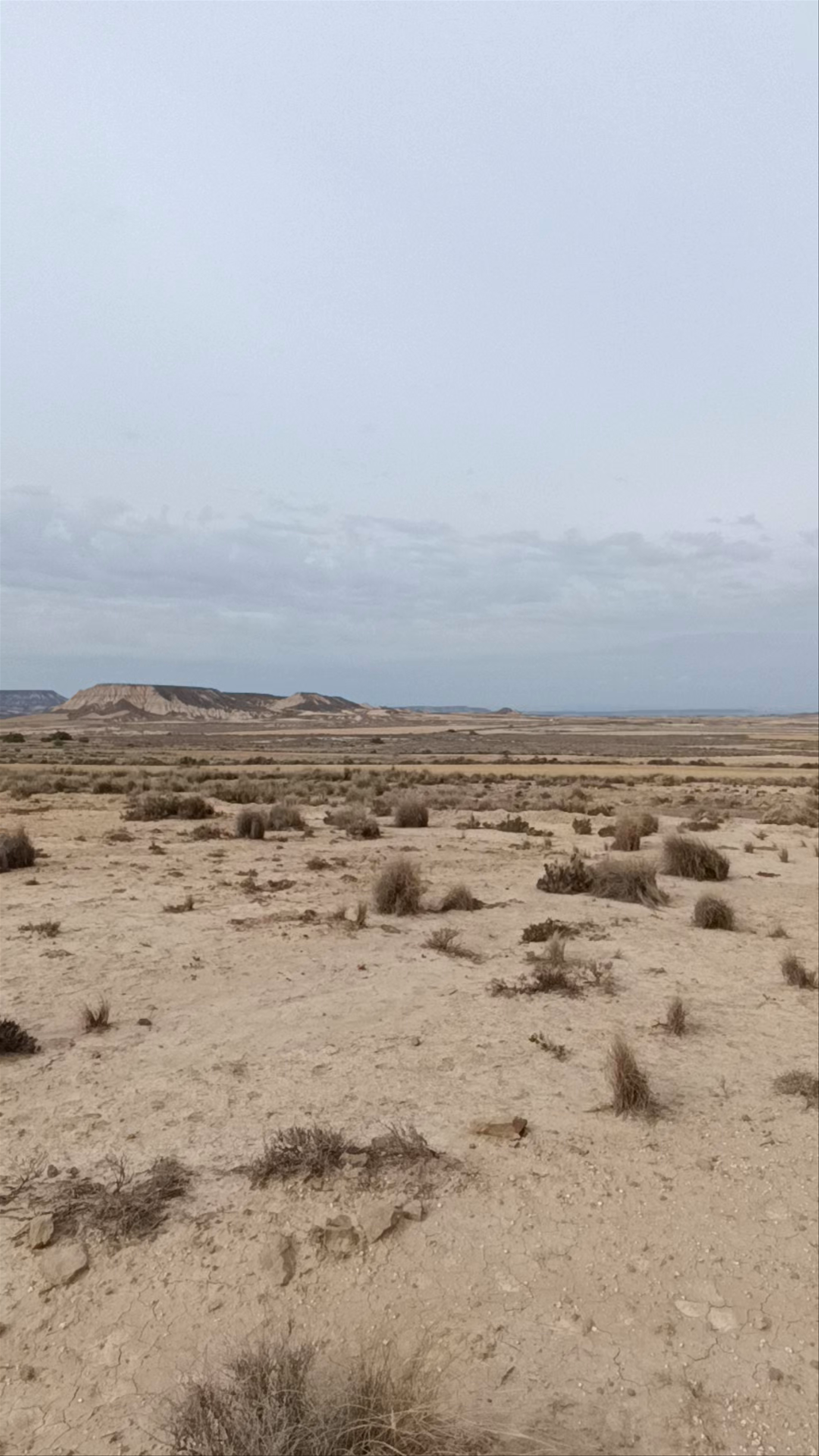 Bardenas Reales de Navarra