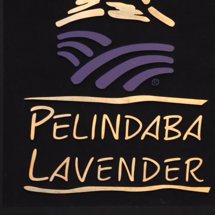 Pelindaba Lavender - Gift Shops Near Me - St. Augustine, Florida