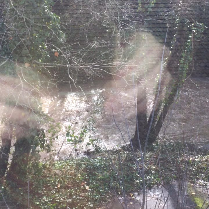 Hank's Creekside Restaurant - Looking out the window of our table! - American Near Me - Santa Rosa, California