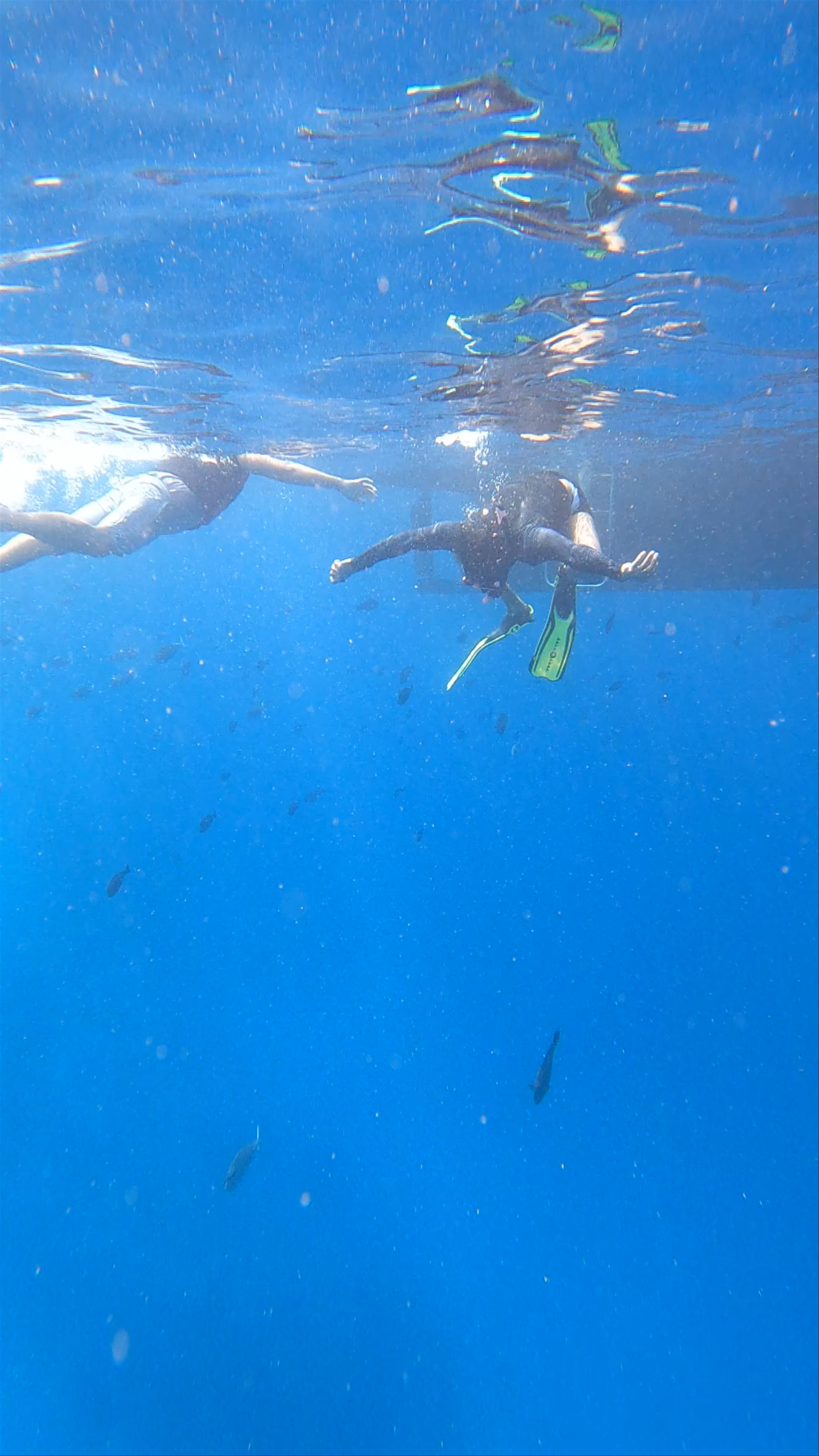 Triton Tours Maafushi