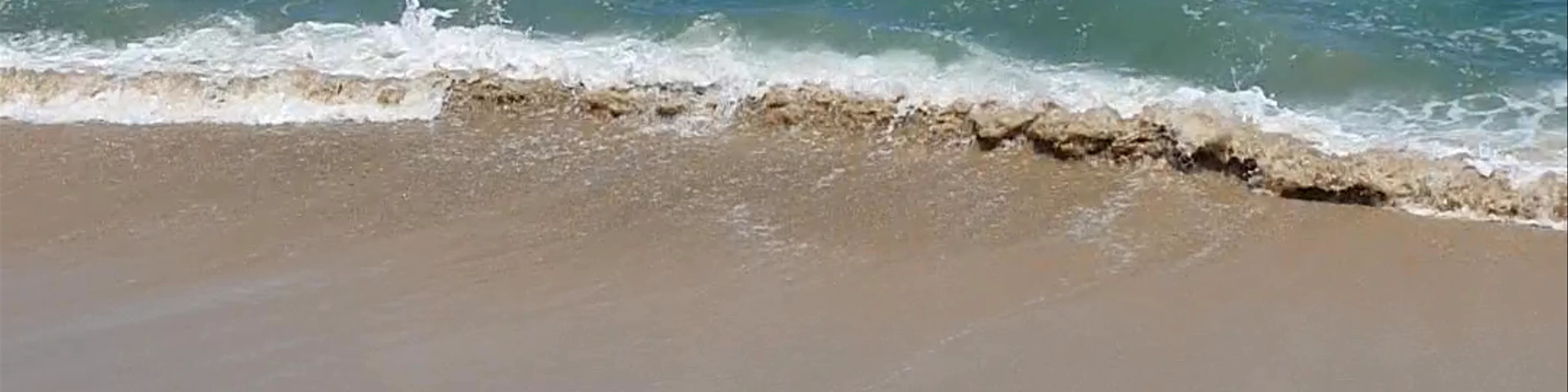 Playa Sayulita