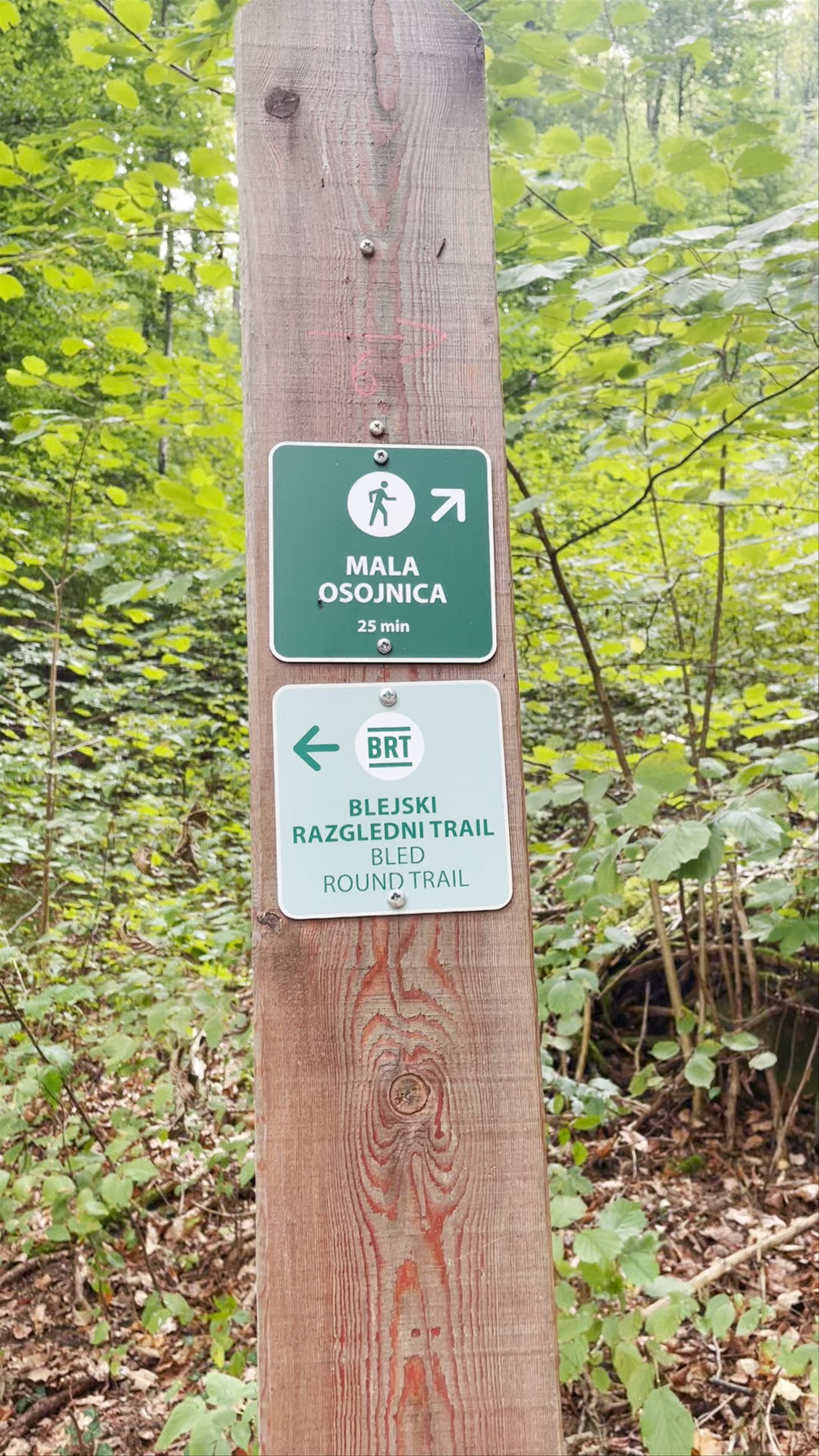 Mala Osojnica