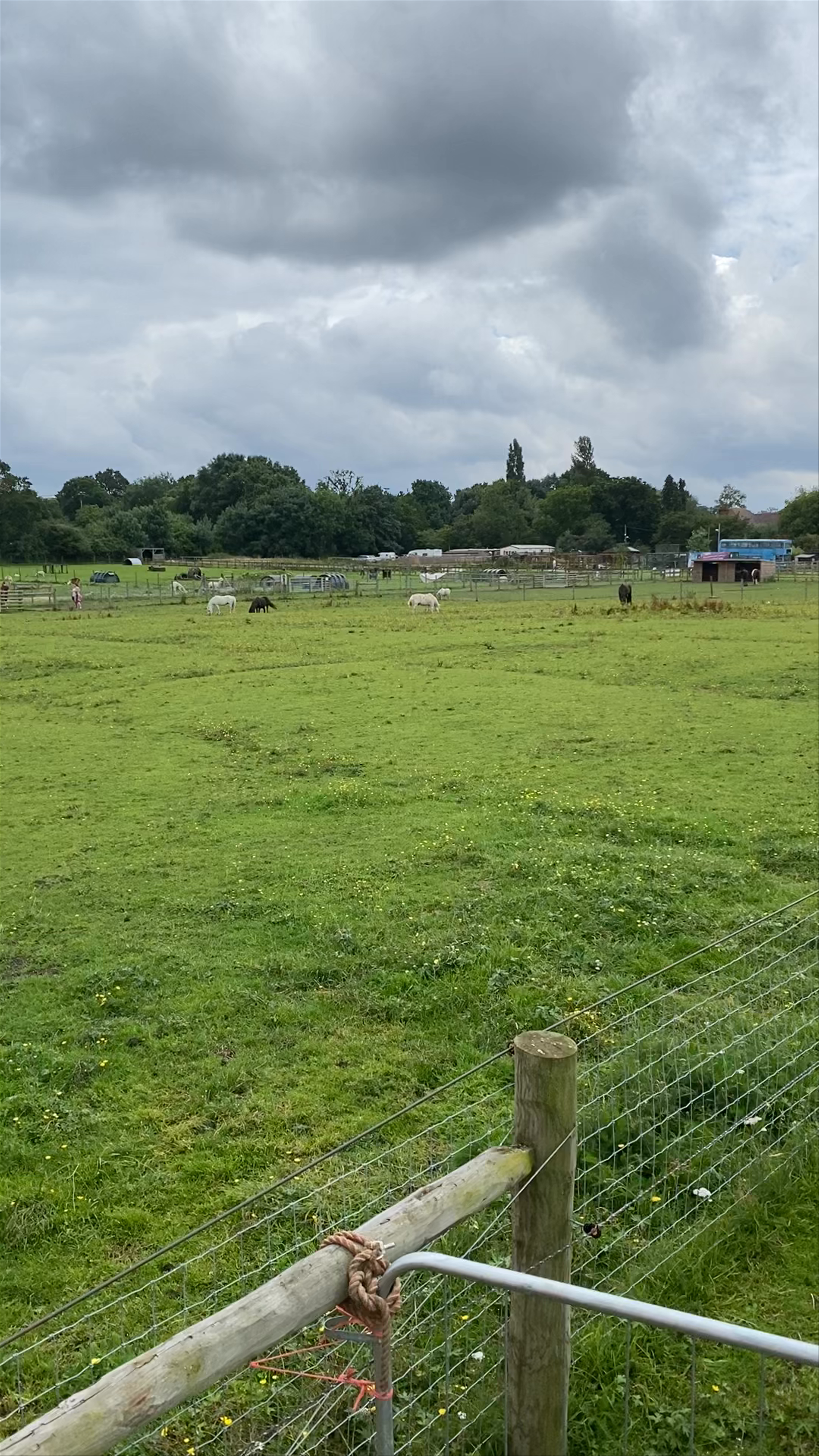 Hopefield Animal Sanctuary