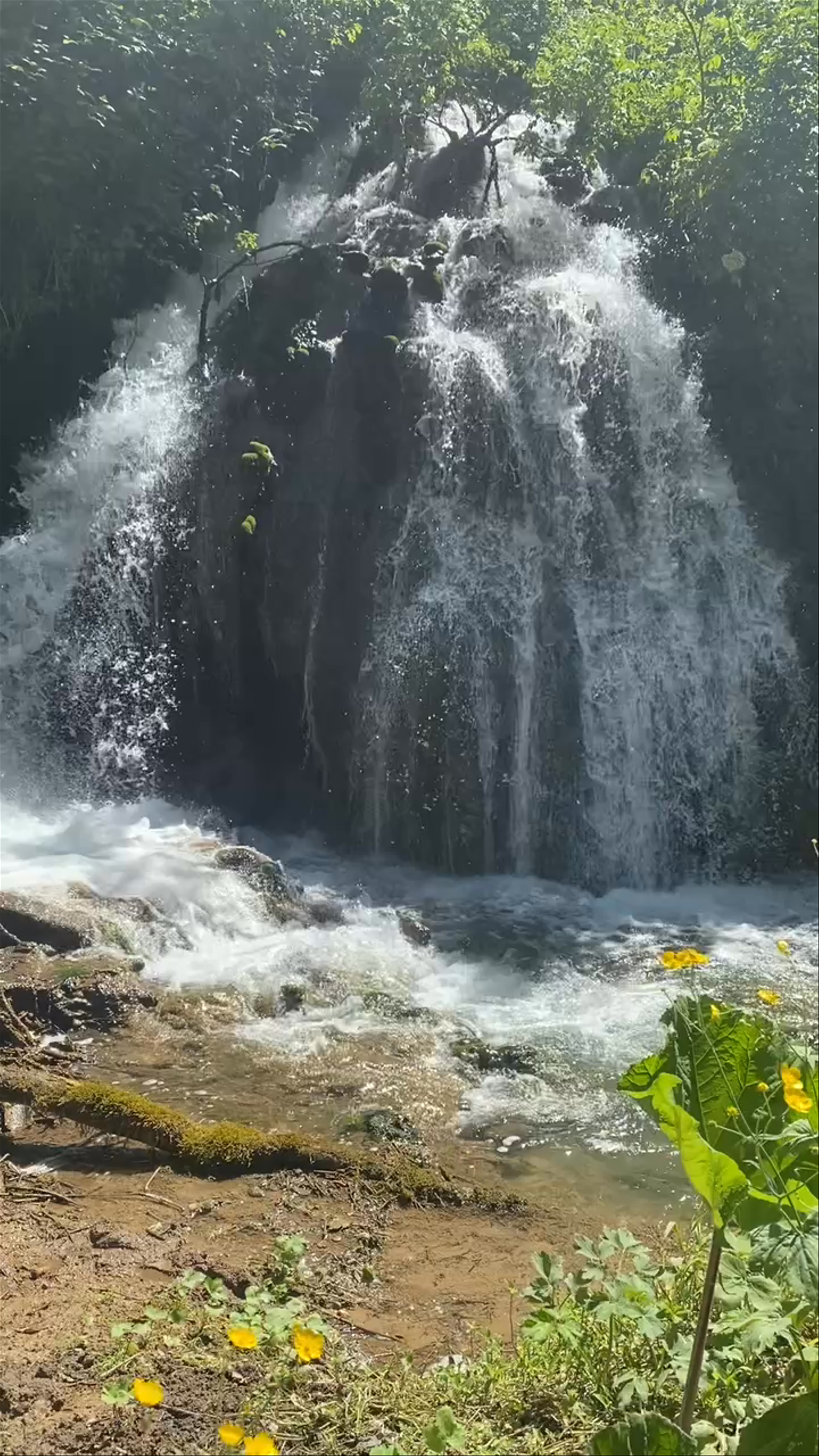 Villa Gregoriana Waterfall: A Serene Natural Escape in Tivoli, Italy