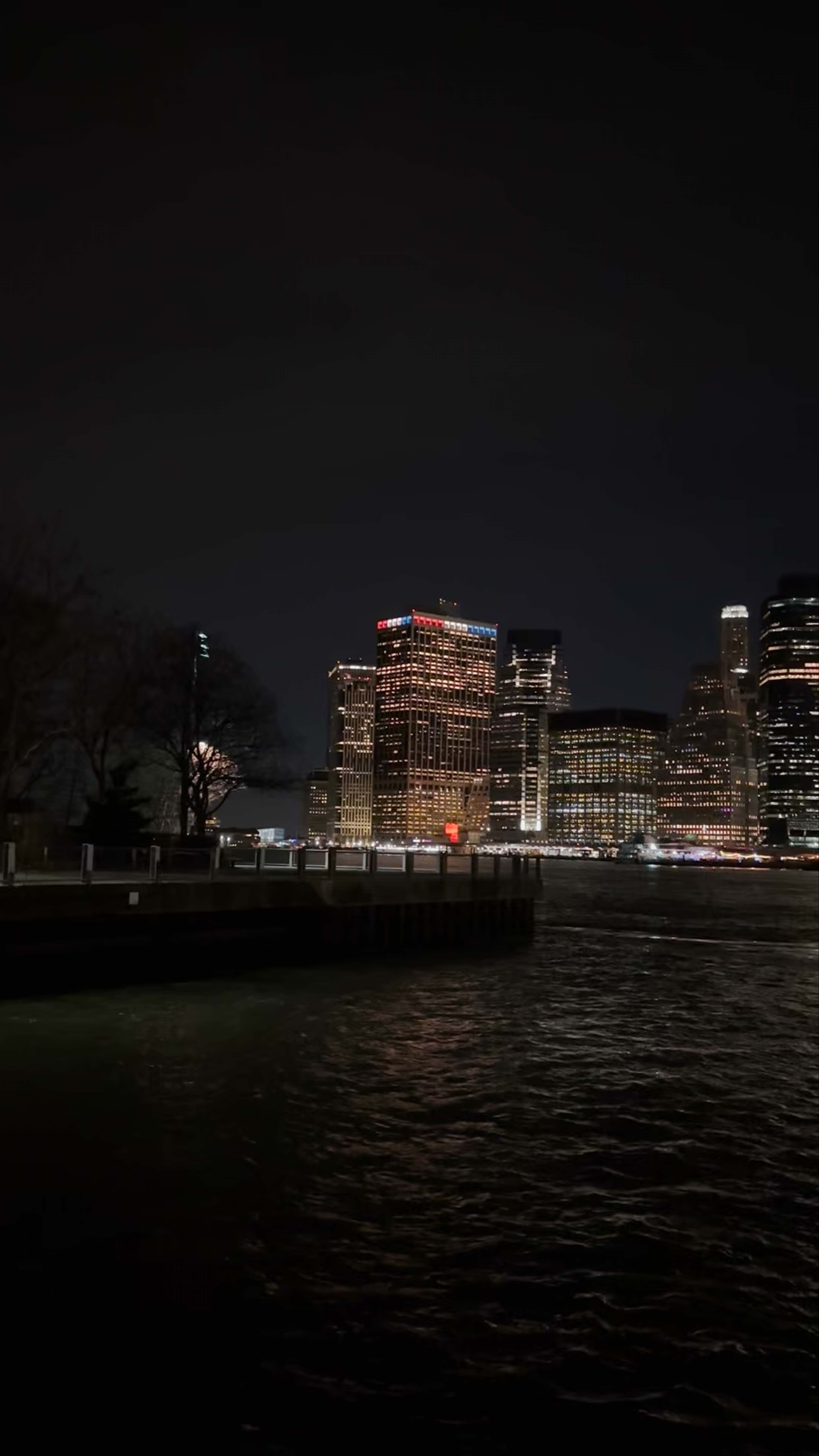 Brooklyn Bridge Lookout