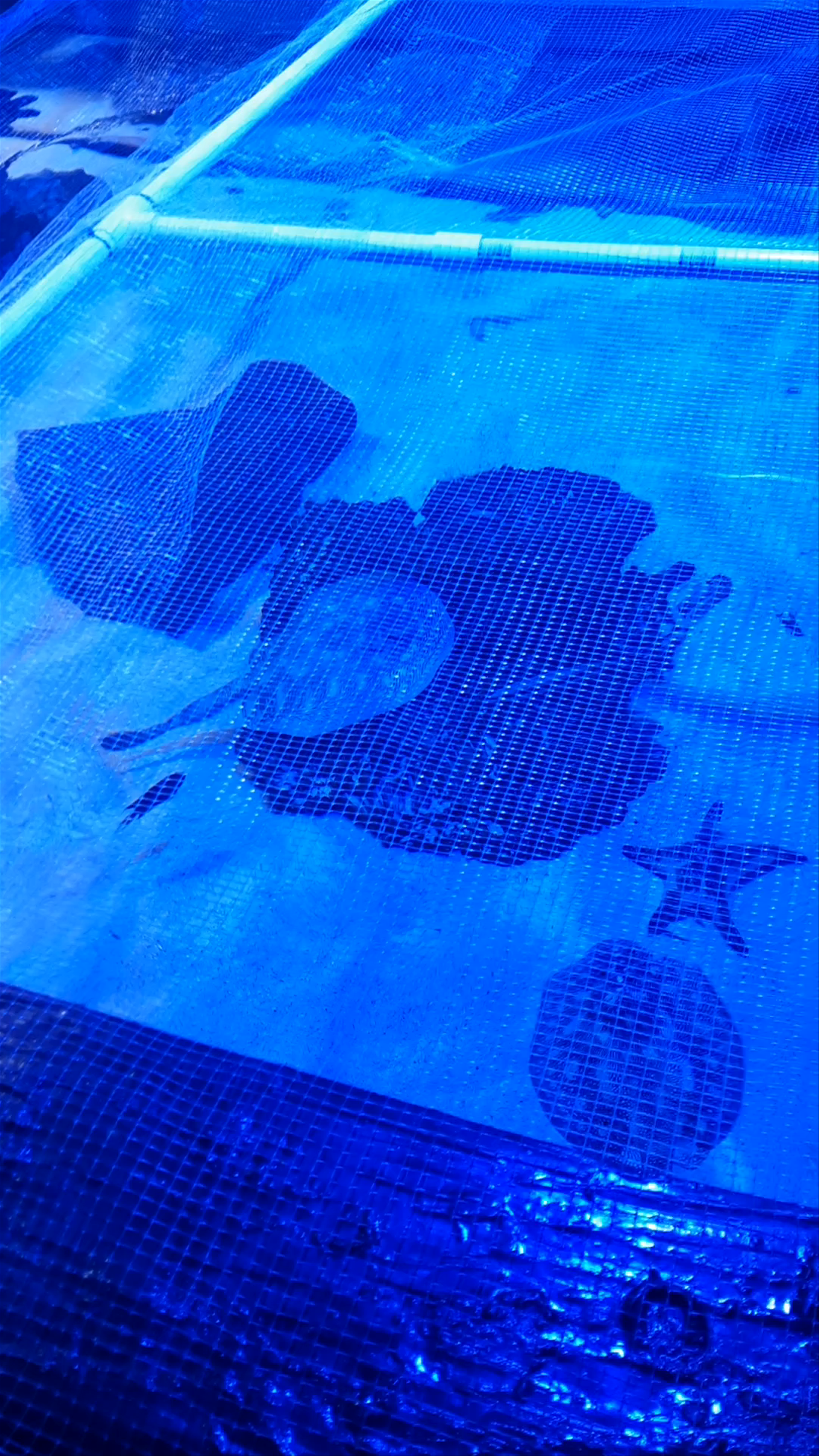 Butterfly House & Aquarium